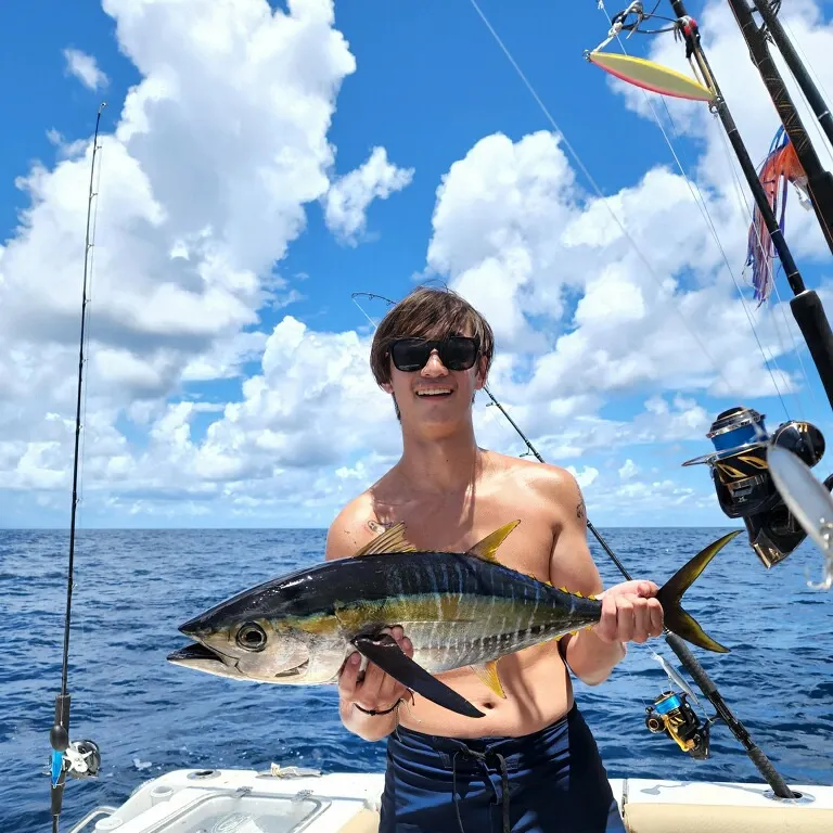 The most recent Yellowfin tuna catches on Fishbrain