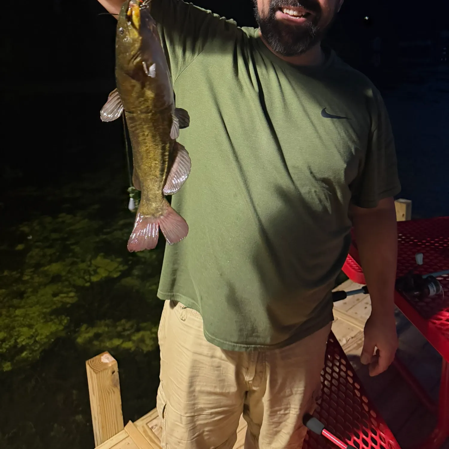 Yellow bullhead caught on Fishbrain