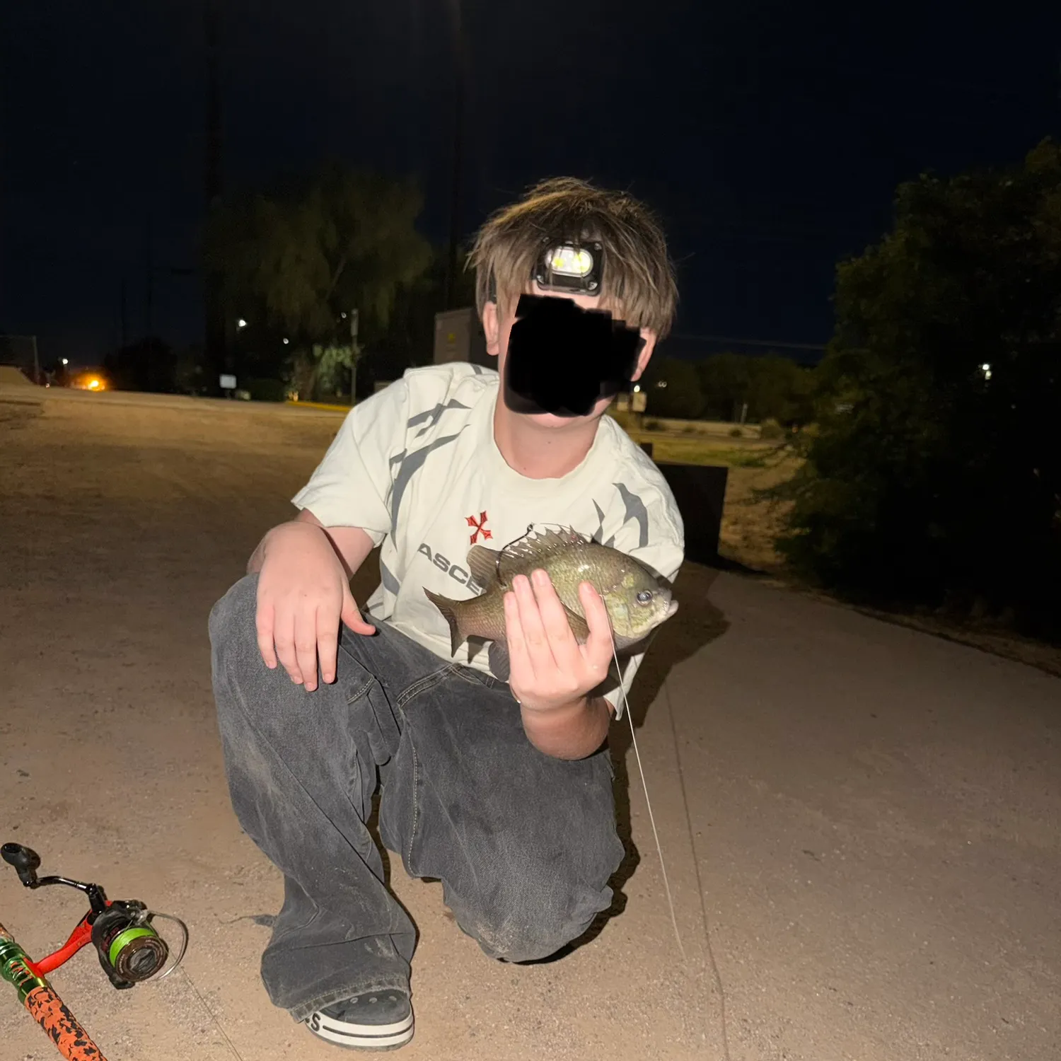 Bluegill caught on Fishbrain