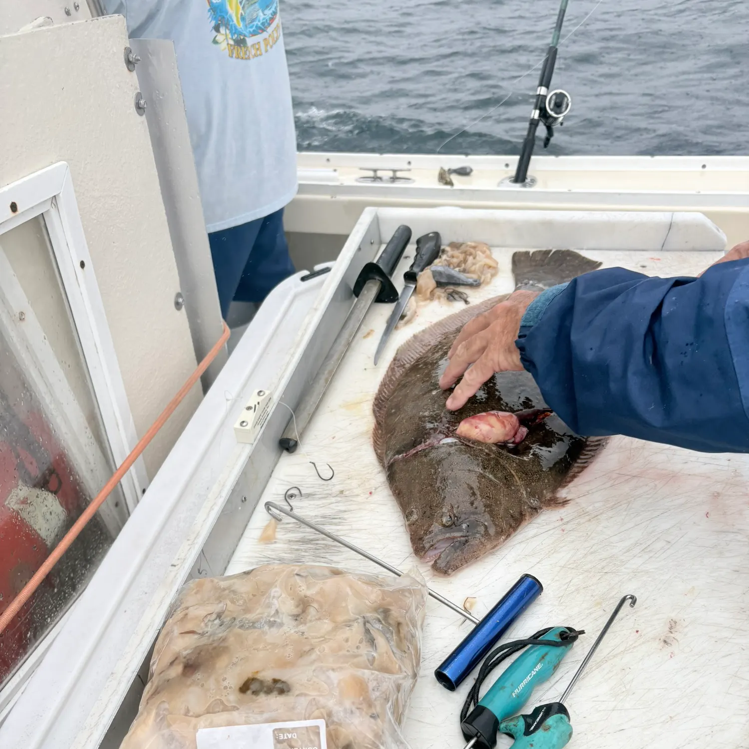 Summer flounder caught on Fishbrain