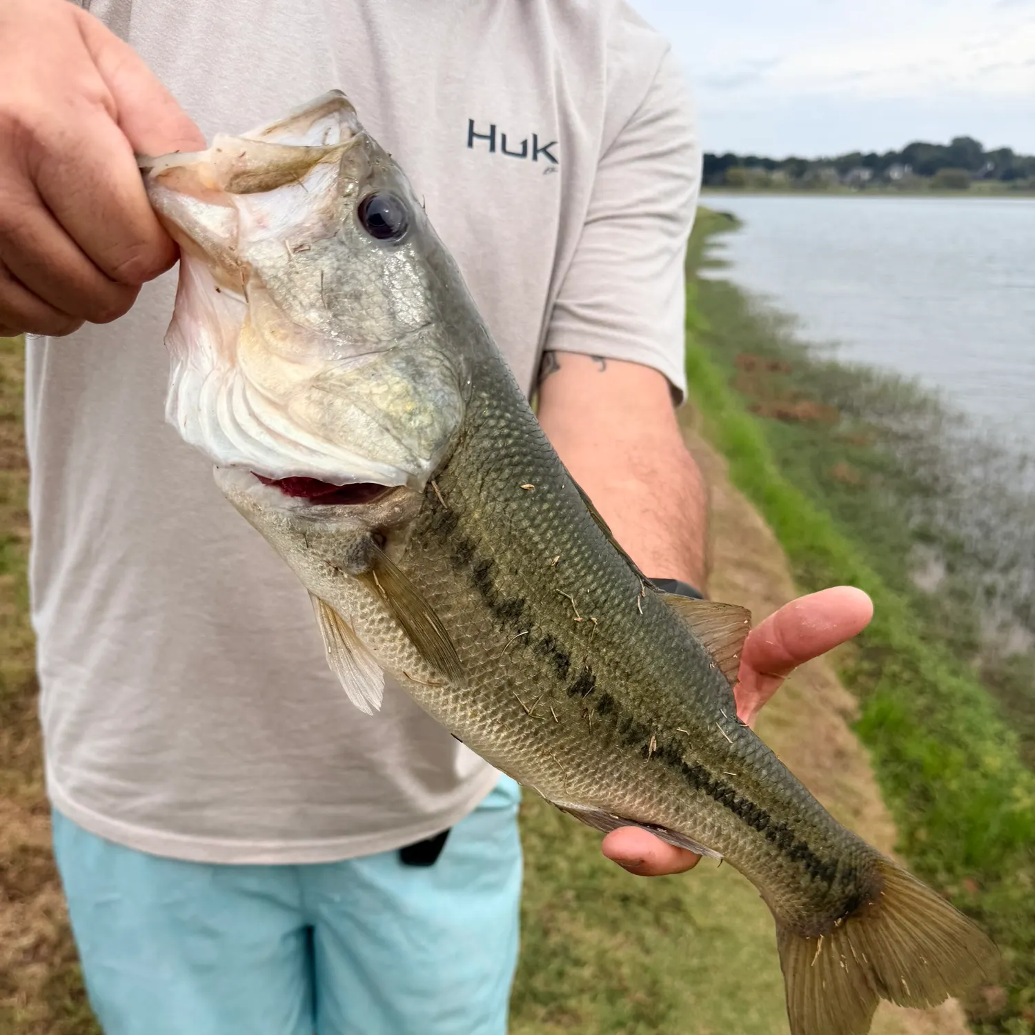 Fish caught on Fishbrain