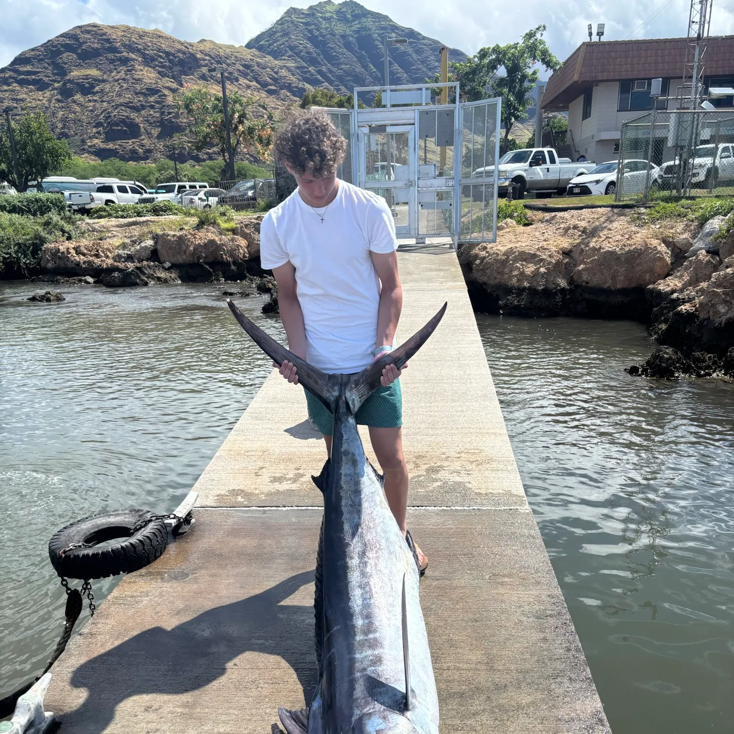 The most recent Indo-Pacific blue marlin catches on Fishbrain