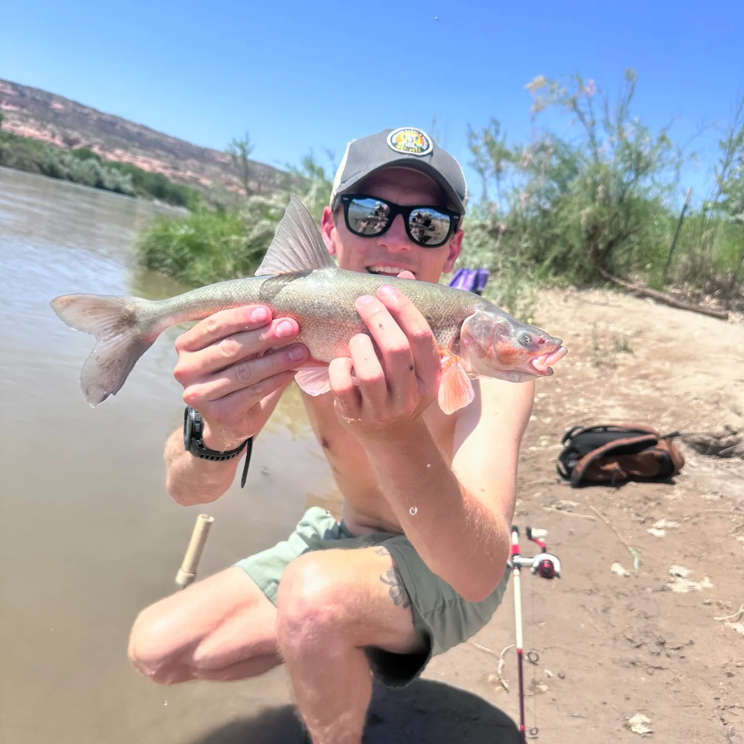 The most recent Bonytail chub catches on Fishbrain