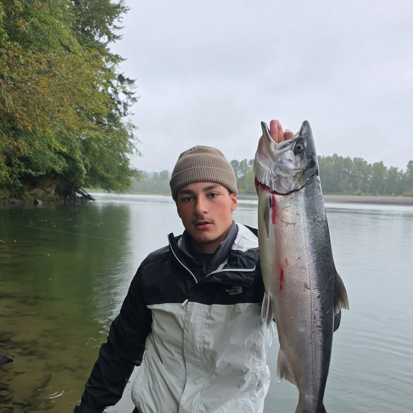 The most recent Coho salmon catches on Fishbrain
