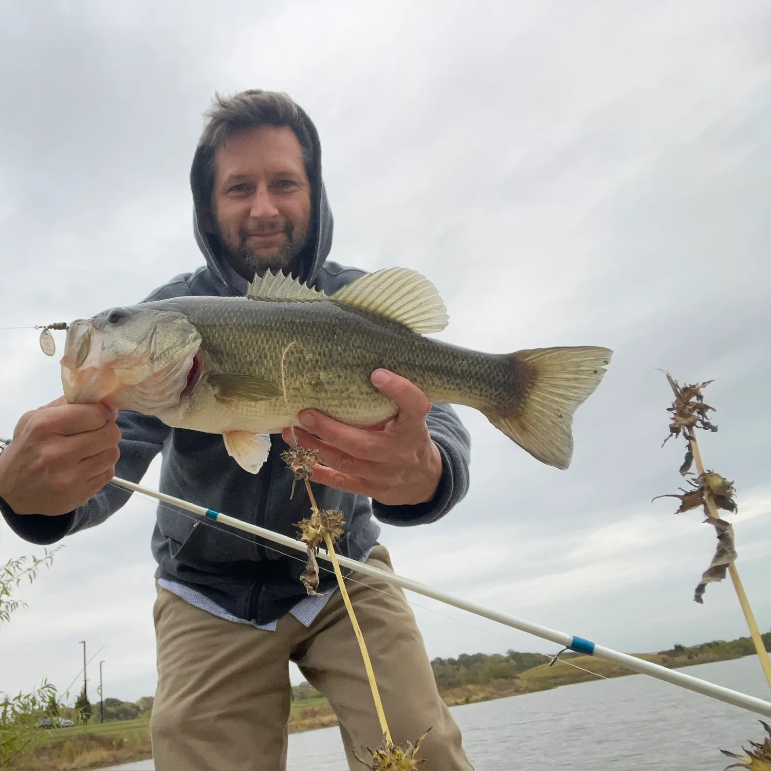 Largemouth bass caught on Fishbrain