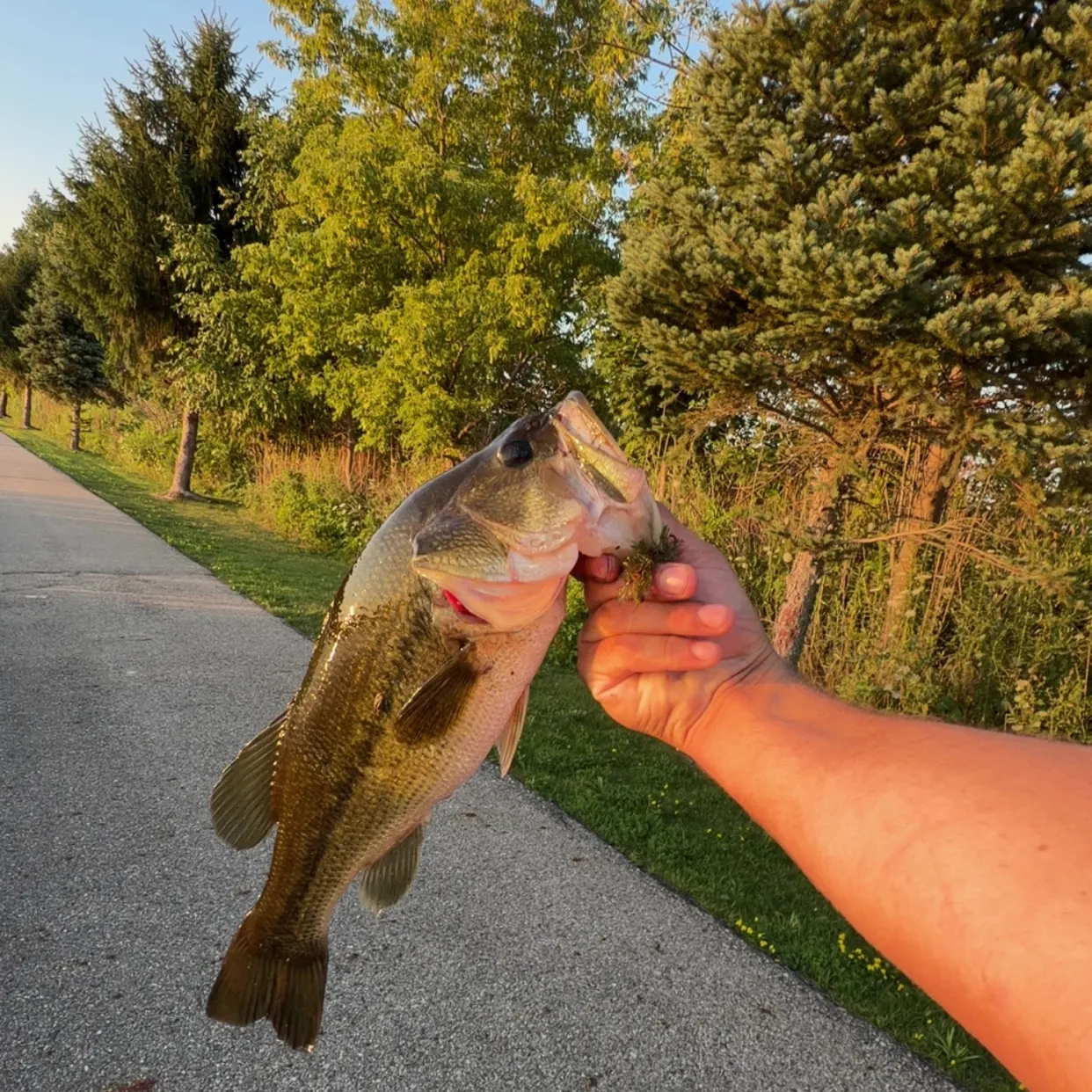 catch