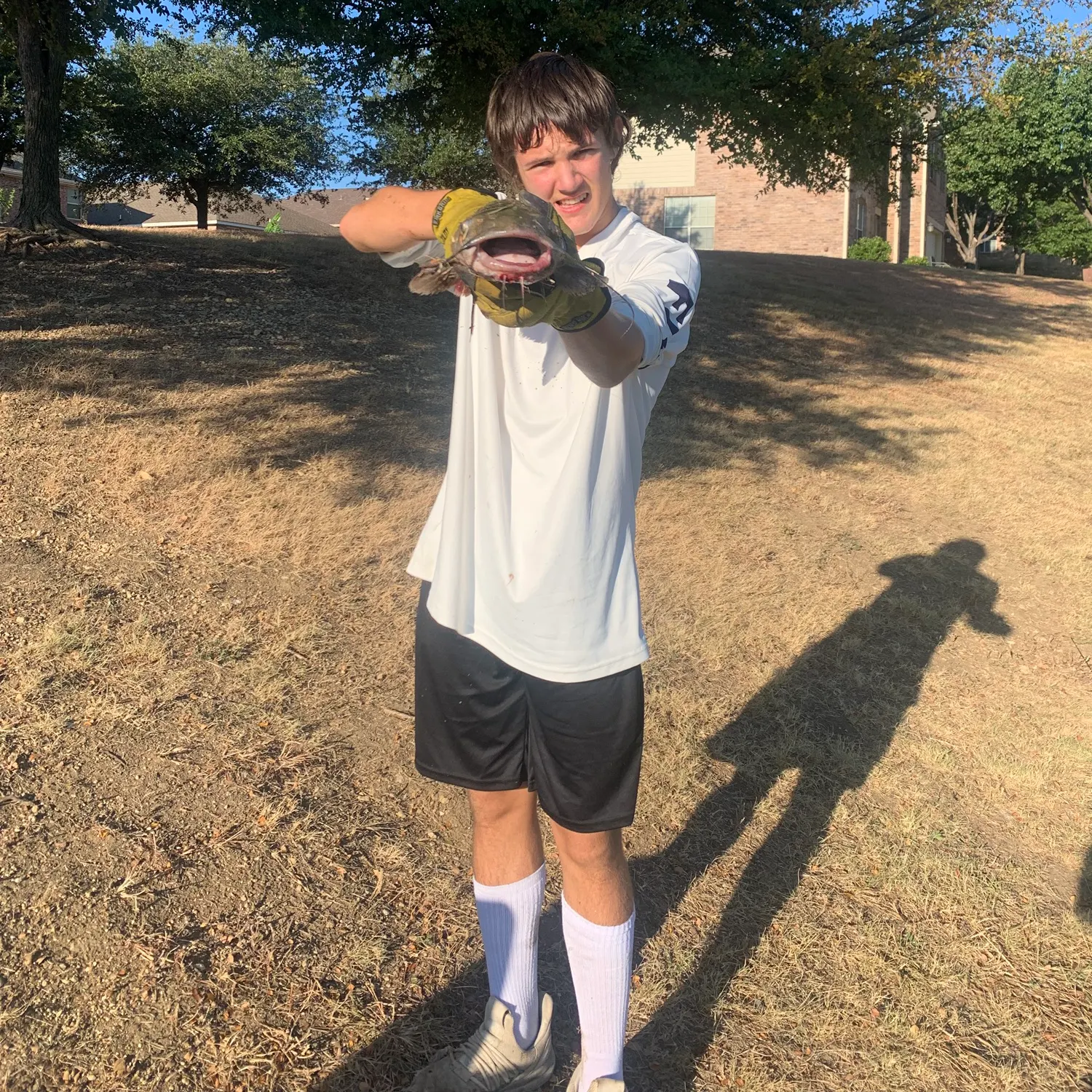 Channel catfish caught on Fishbrain