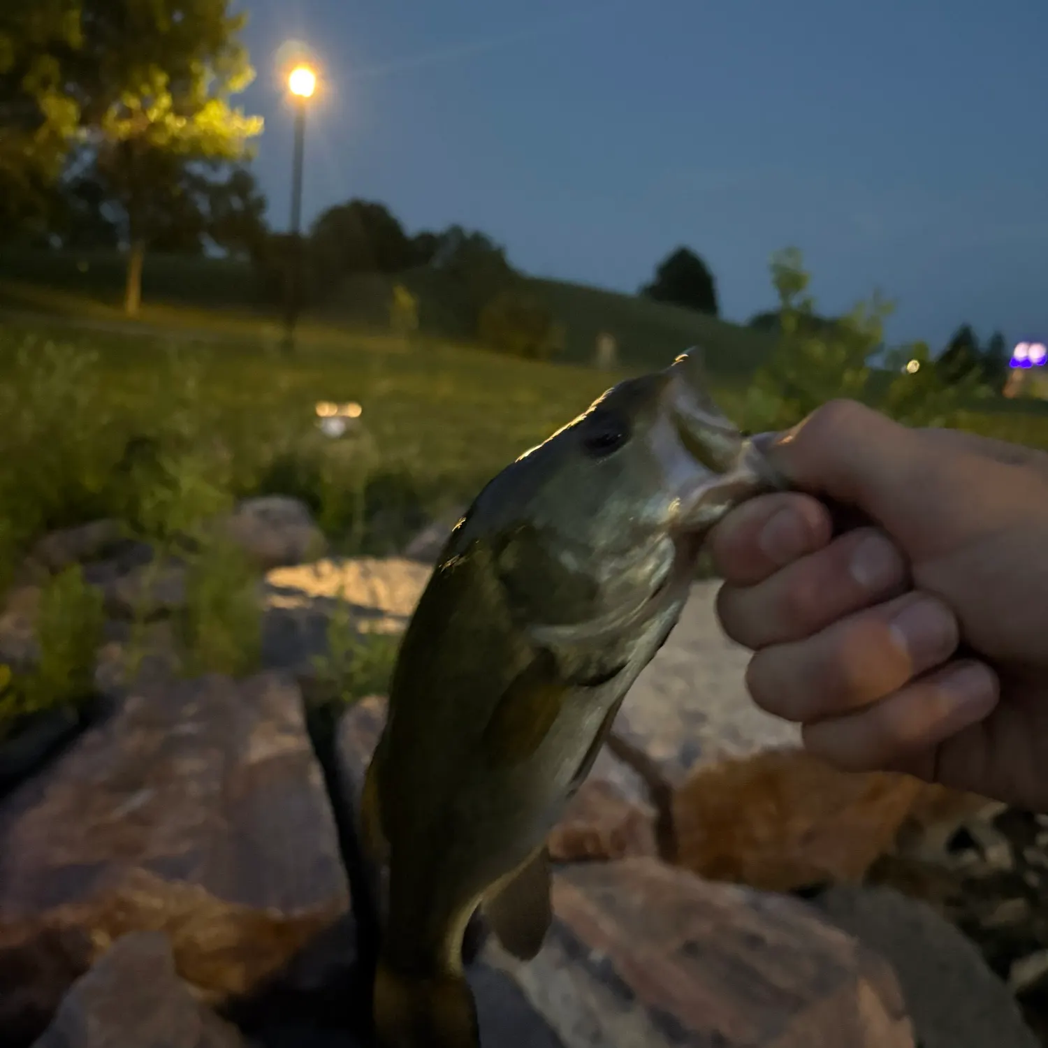 catch