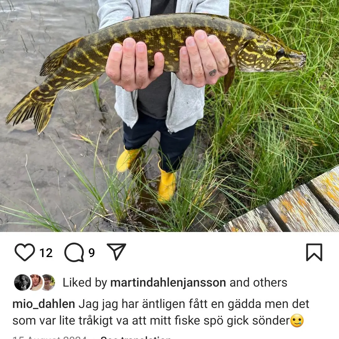 recently logged catches