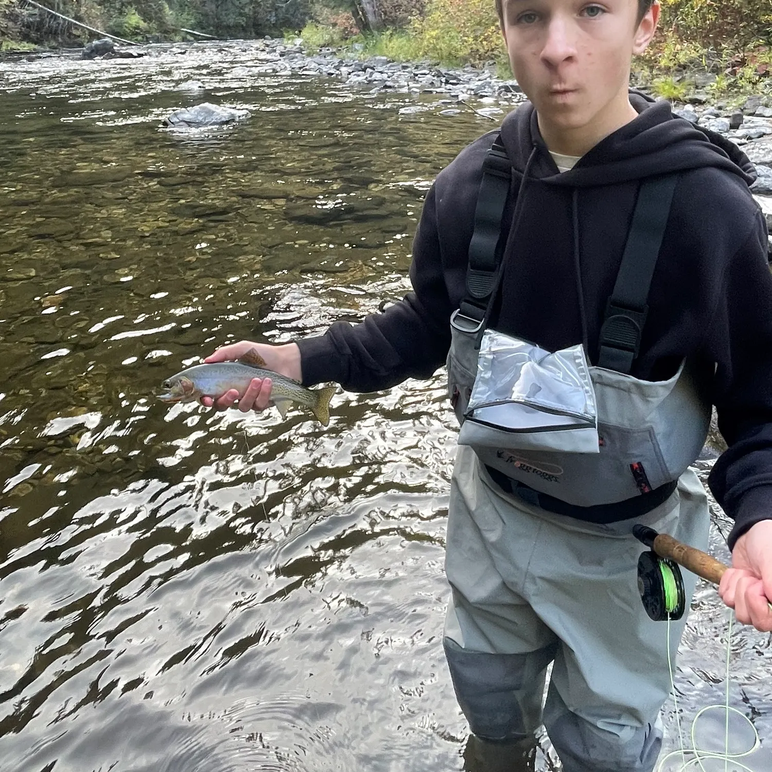 The most recent Westslope cutthroat trout catches on Fishbrain