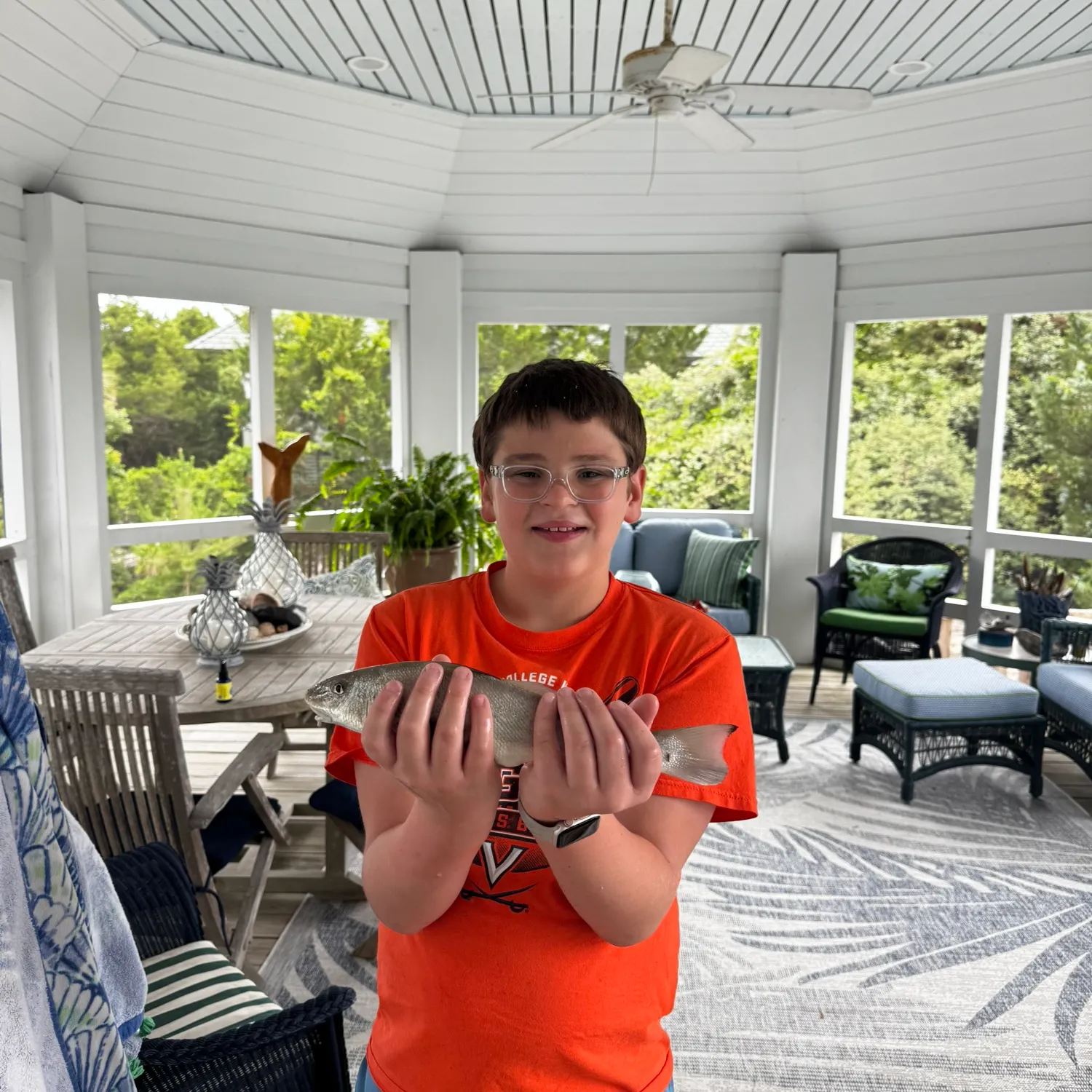 The most recent Pacific whiting catches on Fishbrain