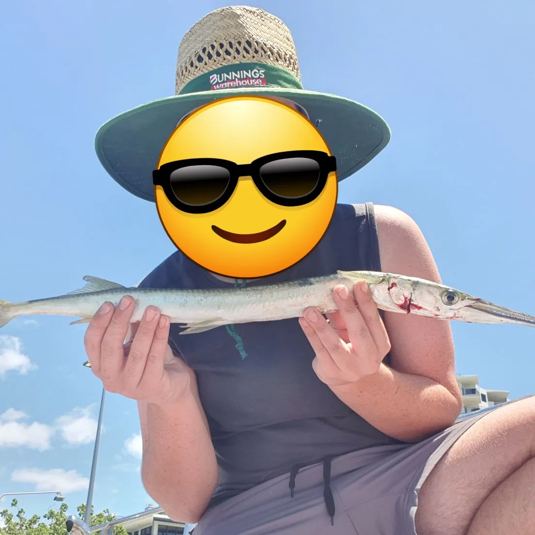 The most recent Flat needlefish catches on Fishbrain