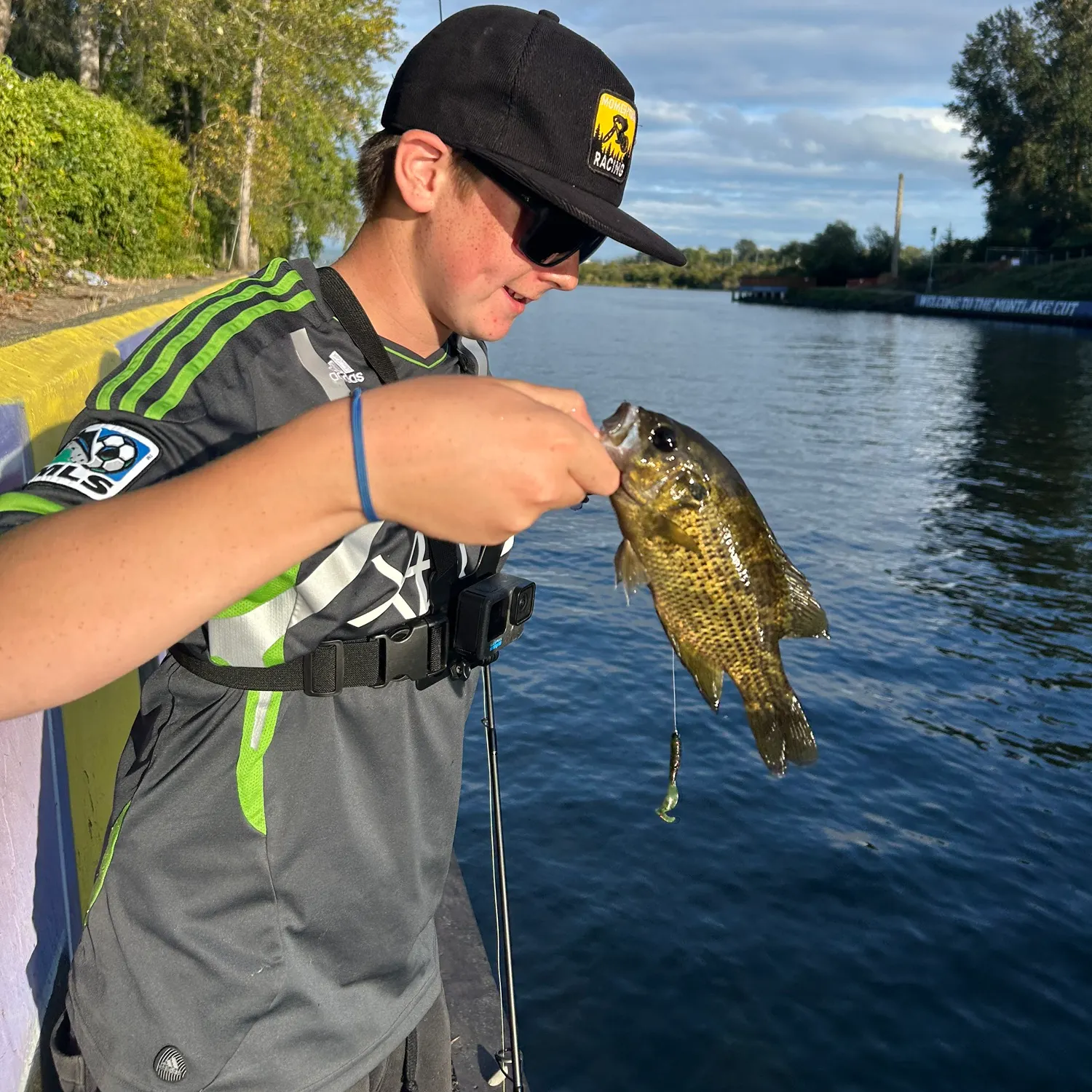 Rock bass caught on Fishbrain