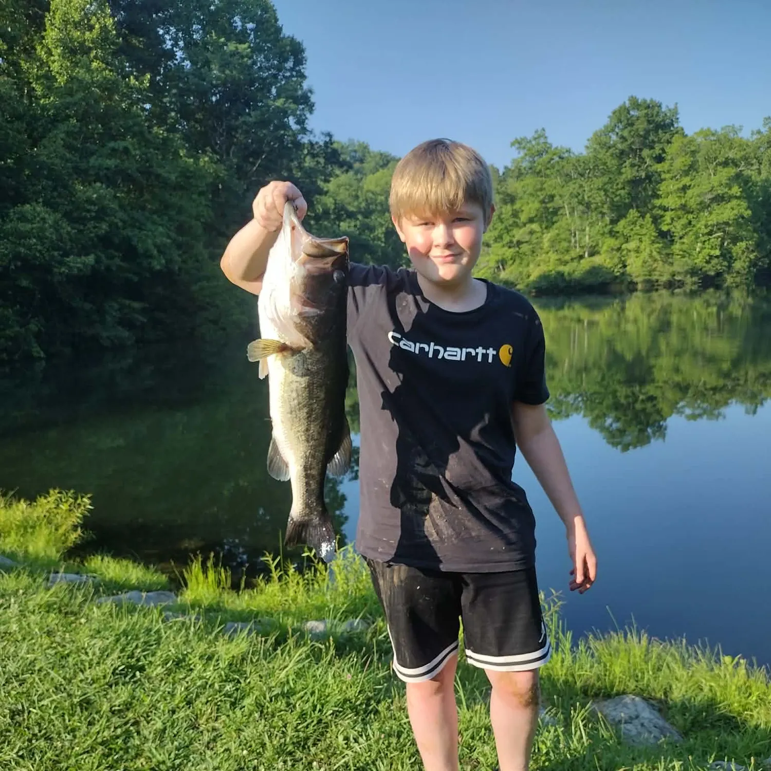 Largemouth bass caught on Fishbrain