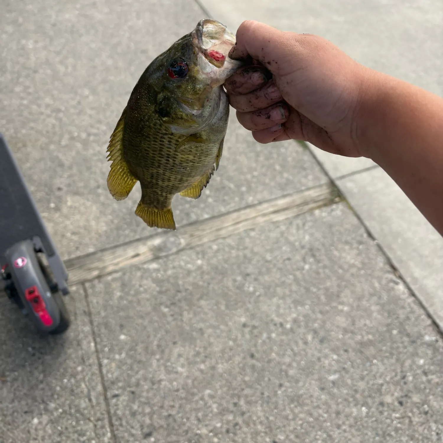 catch