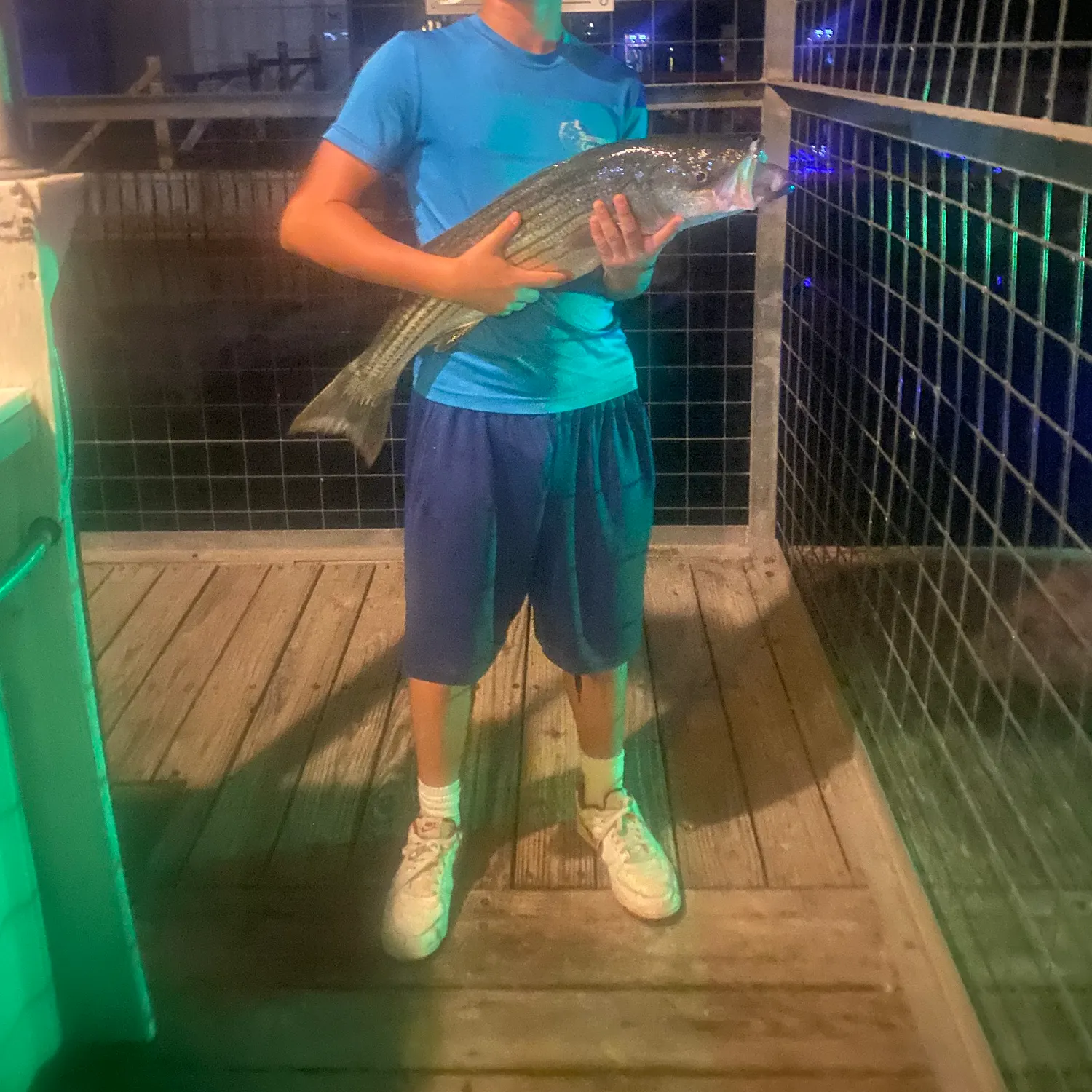 Striped bass caught on Fishbrain