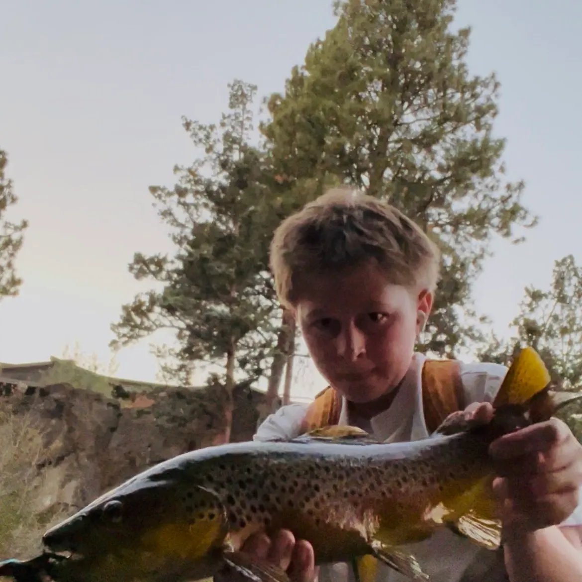 Brown trout caught on Fishbrain