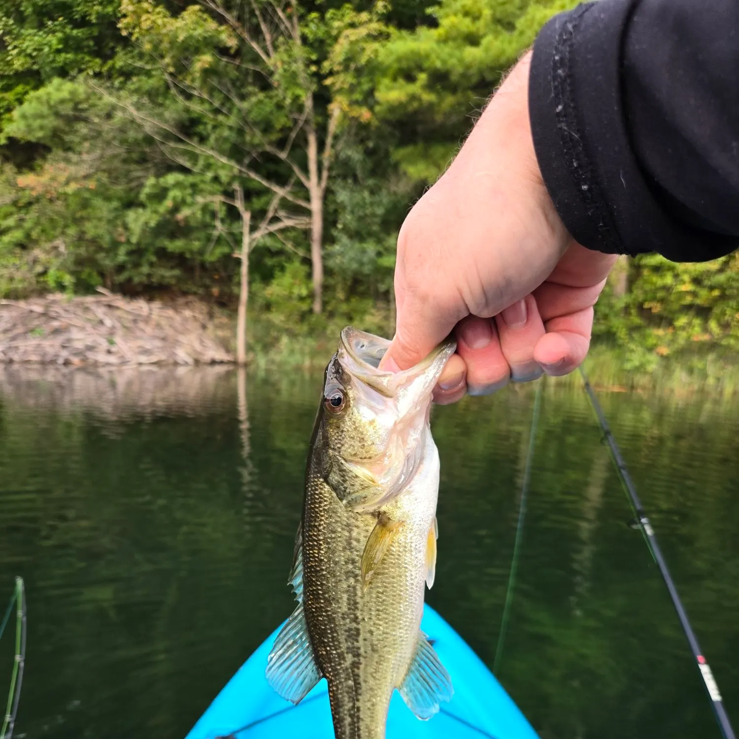 Fish caught on Fishbrain