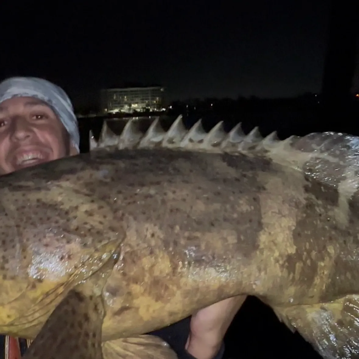 The most recent Atlantic goliath grouper catches on Fishbrain