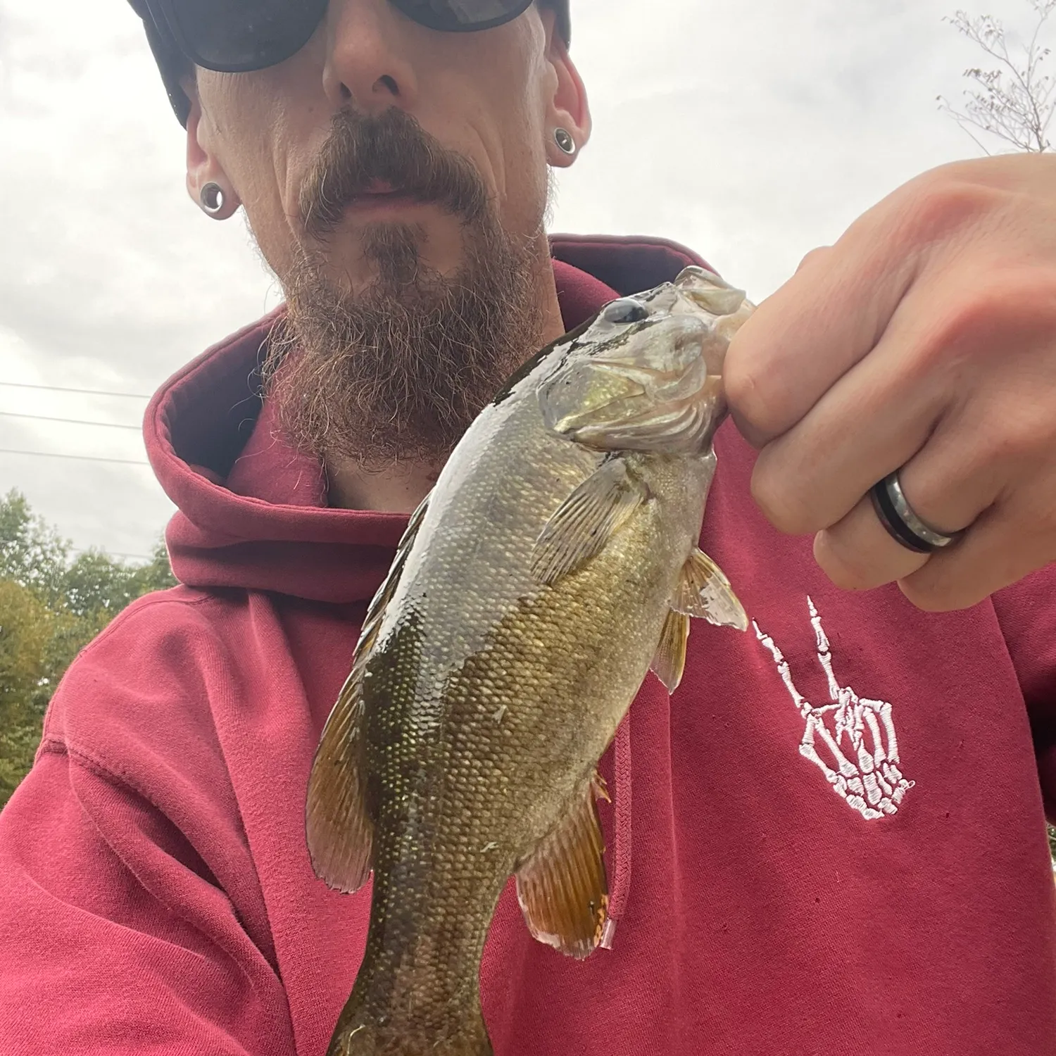 Smallmouth bass caught on Fishbrain