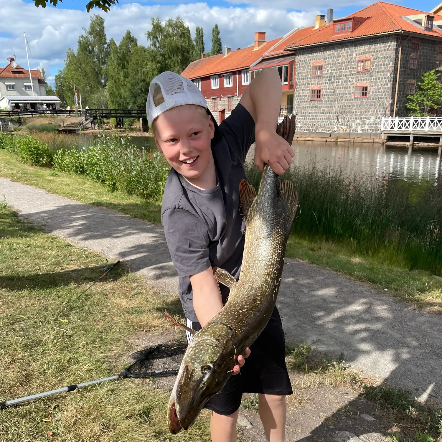 Northern pike caught on Fishbrain