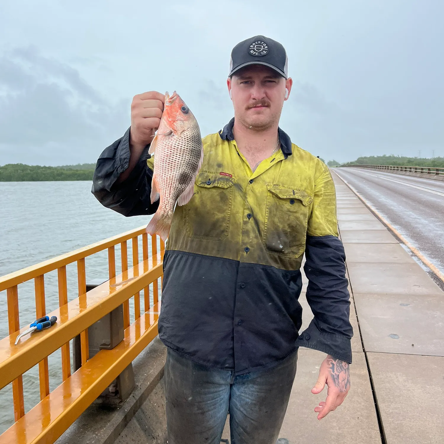 The most recent Moses perch catches on Fishbrain