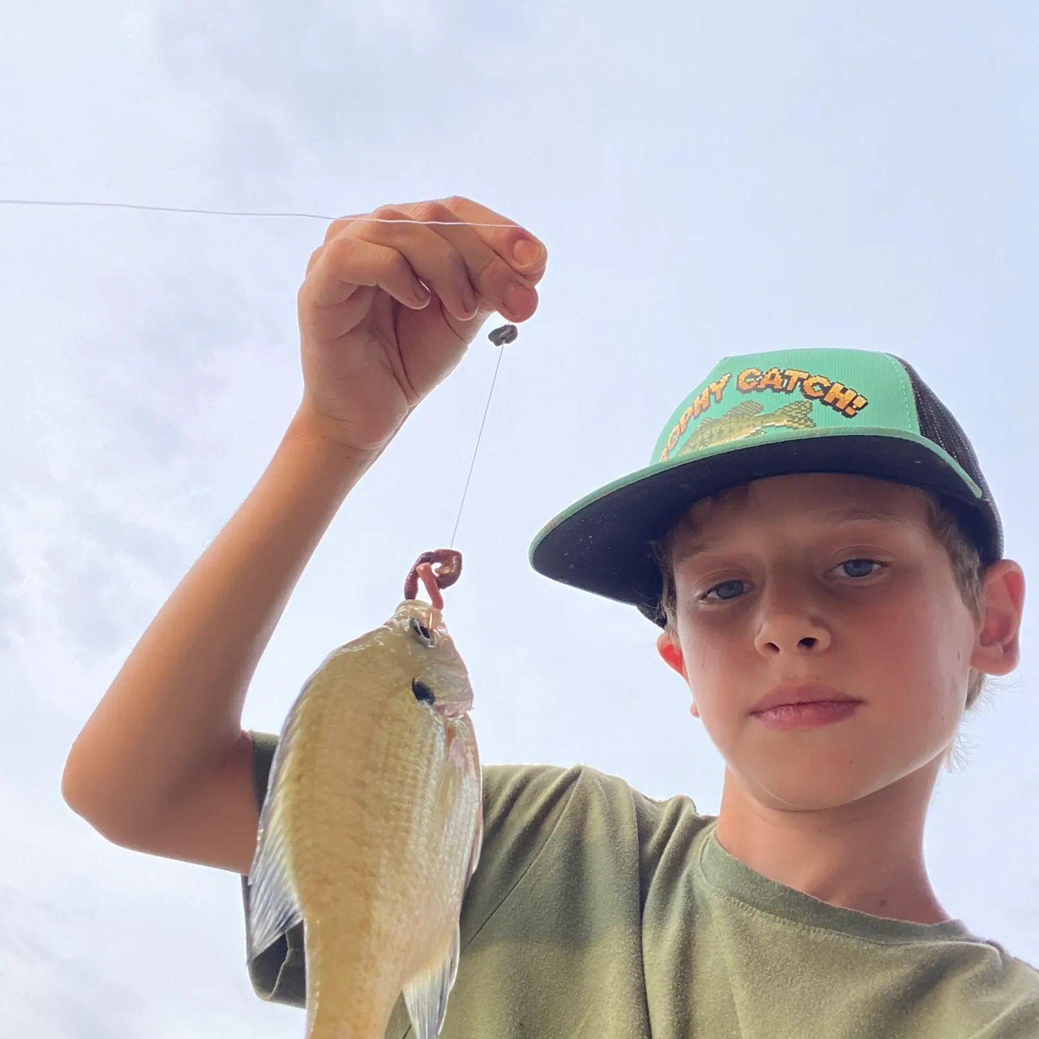 Bluegill caught on Fishbrain
