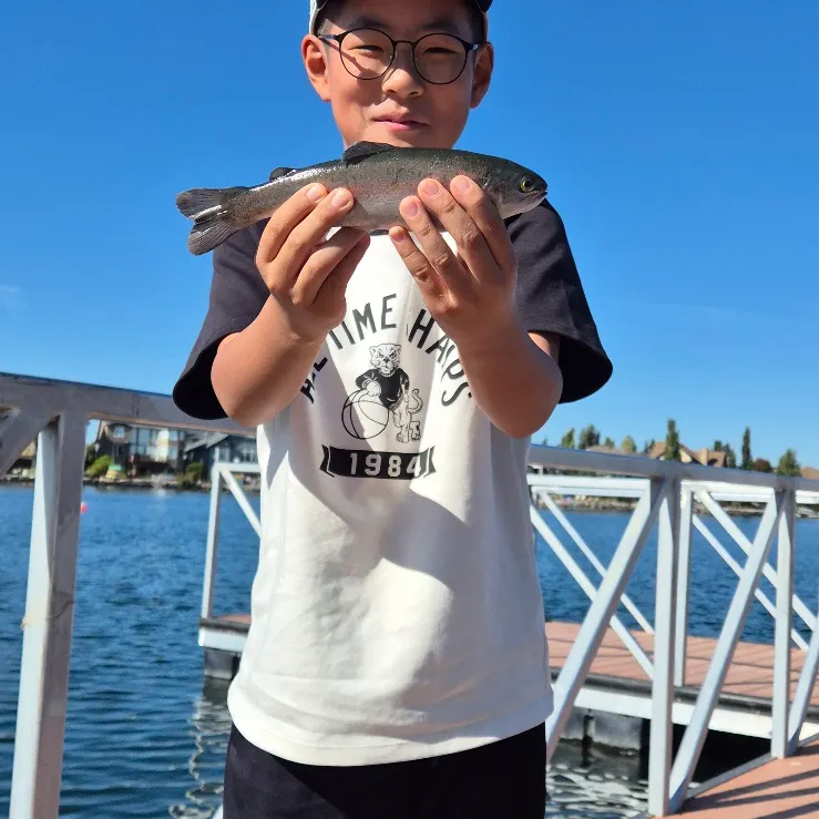 Rainbow trout caught on Fishbrain