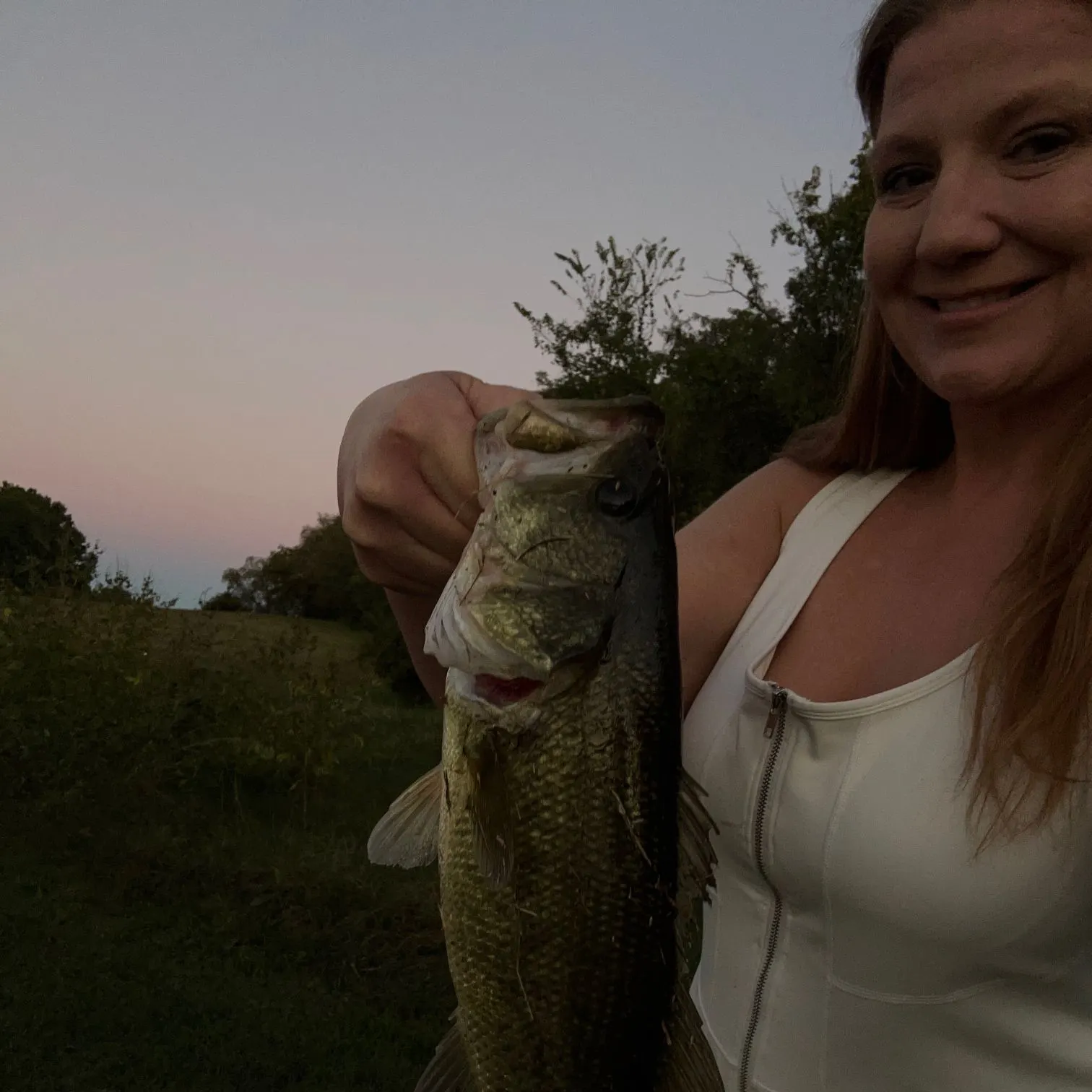 Largemouth bass caught on Fishbrain