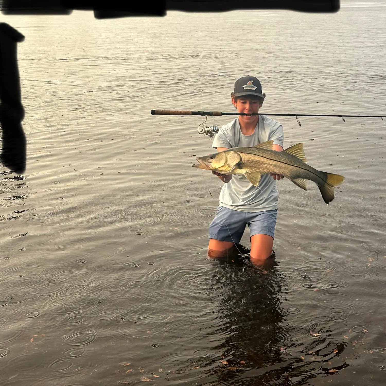 Common snook caught on Fishbrain