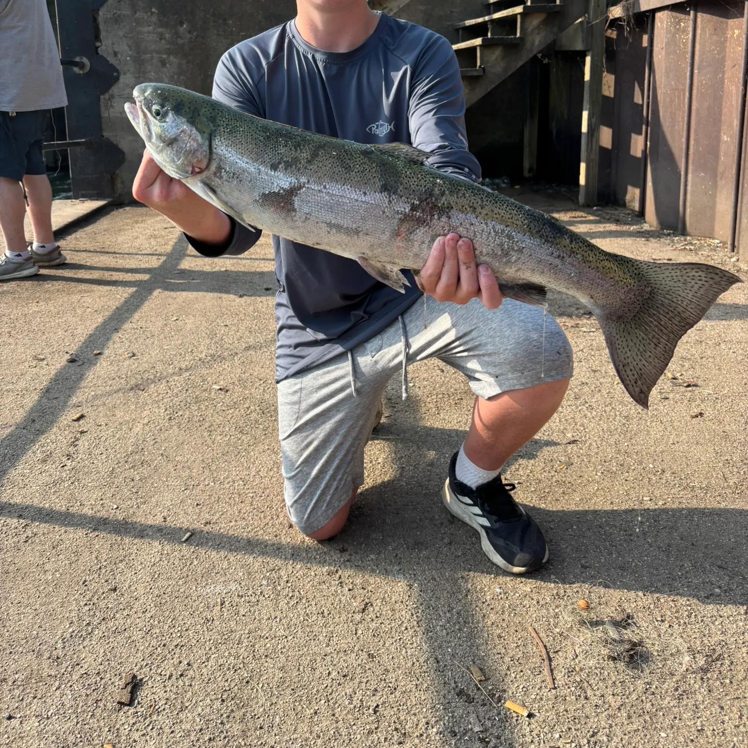 Steelhead caught on Fishbrain