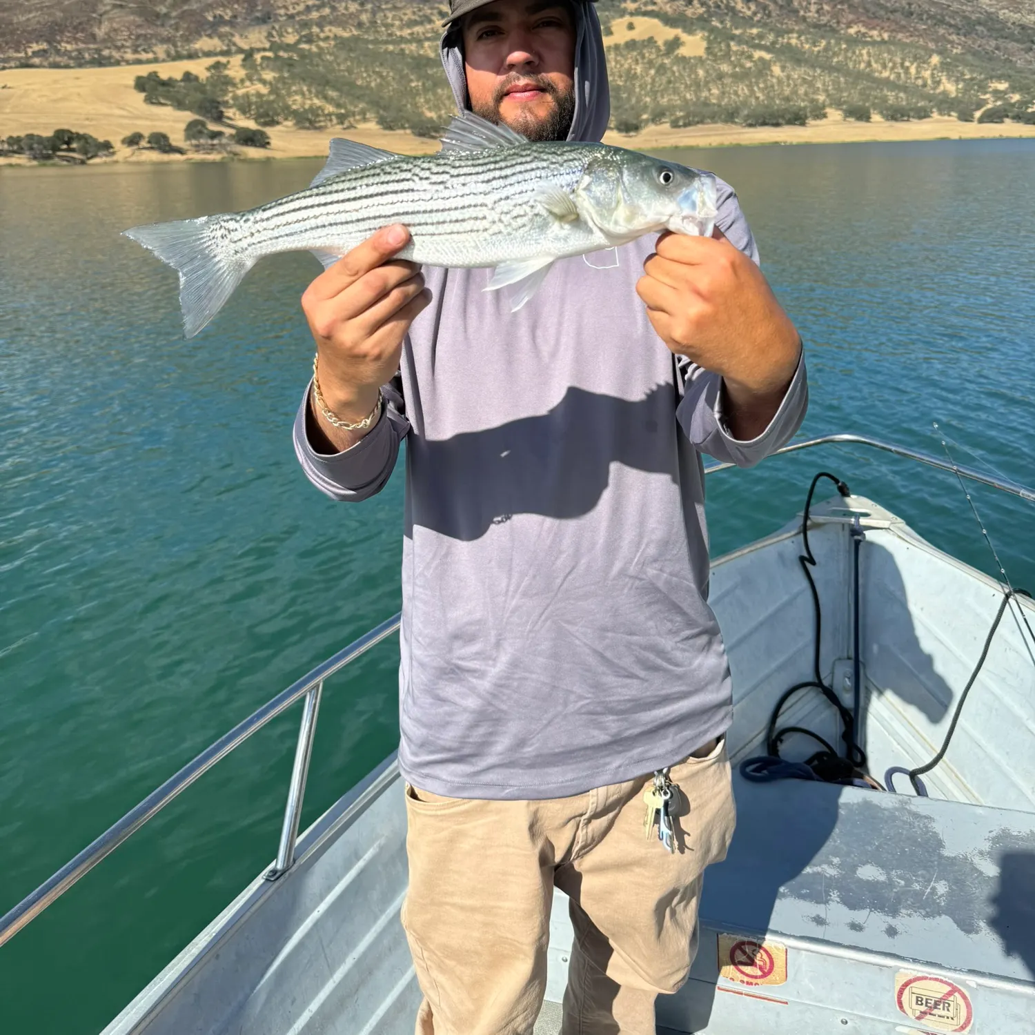 Striped bass caught on Fishbrain