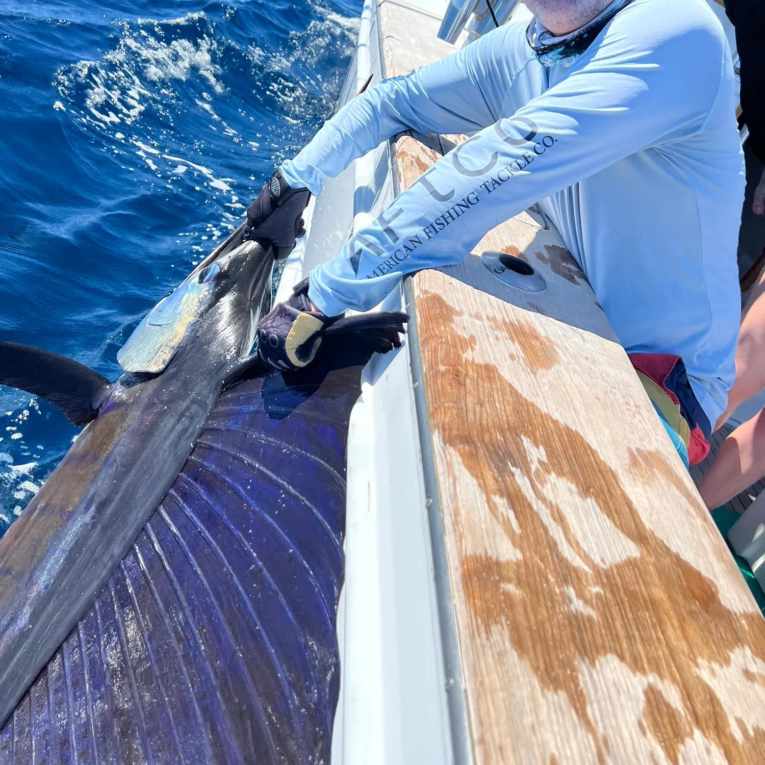 The most recent Indo-Pacific sailfish catches on Fishbrain