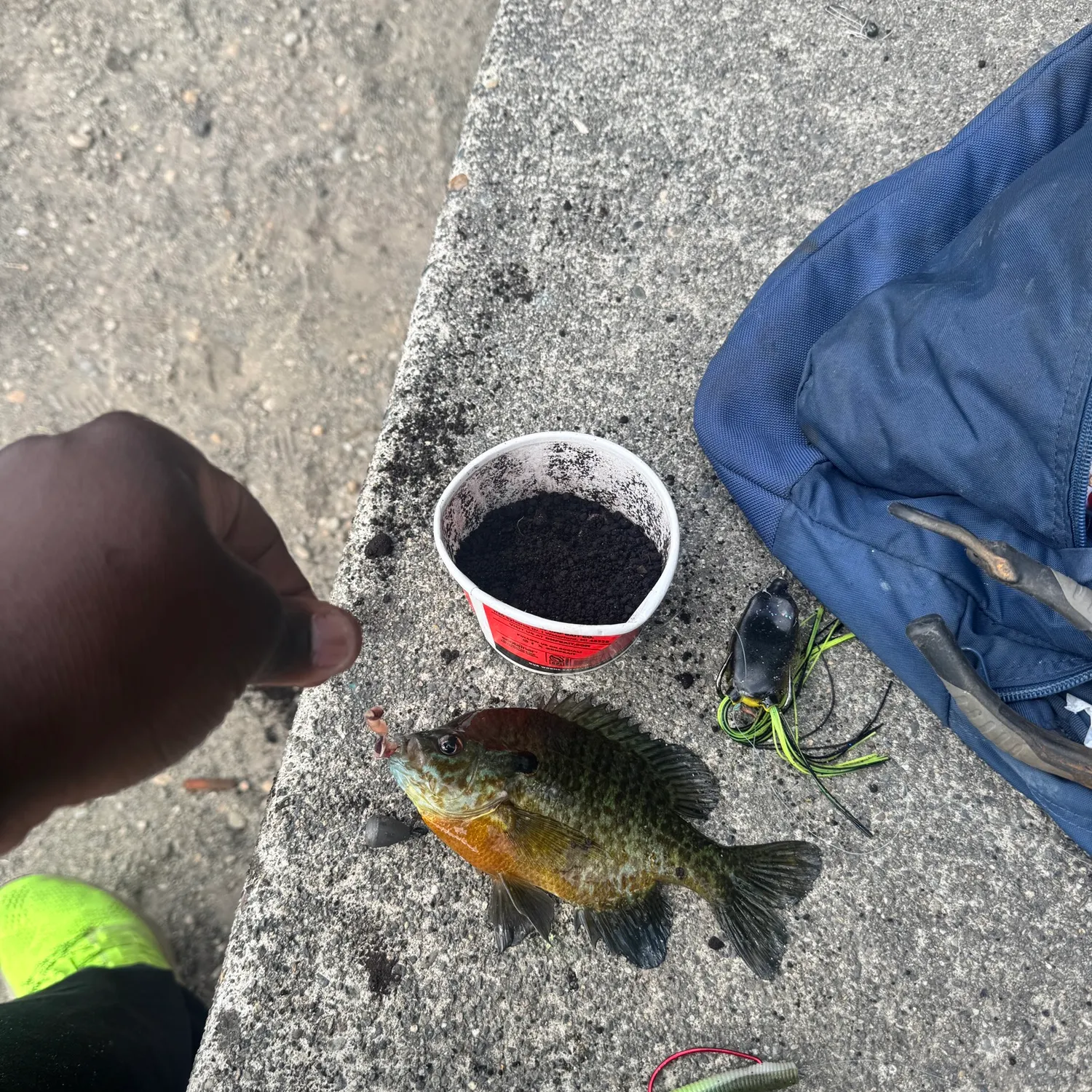 catch