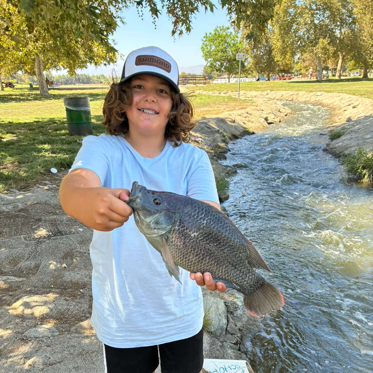 The most recent Wami tilapia catches on Fishbrain