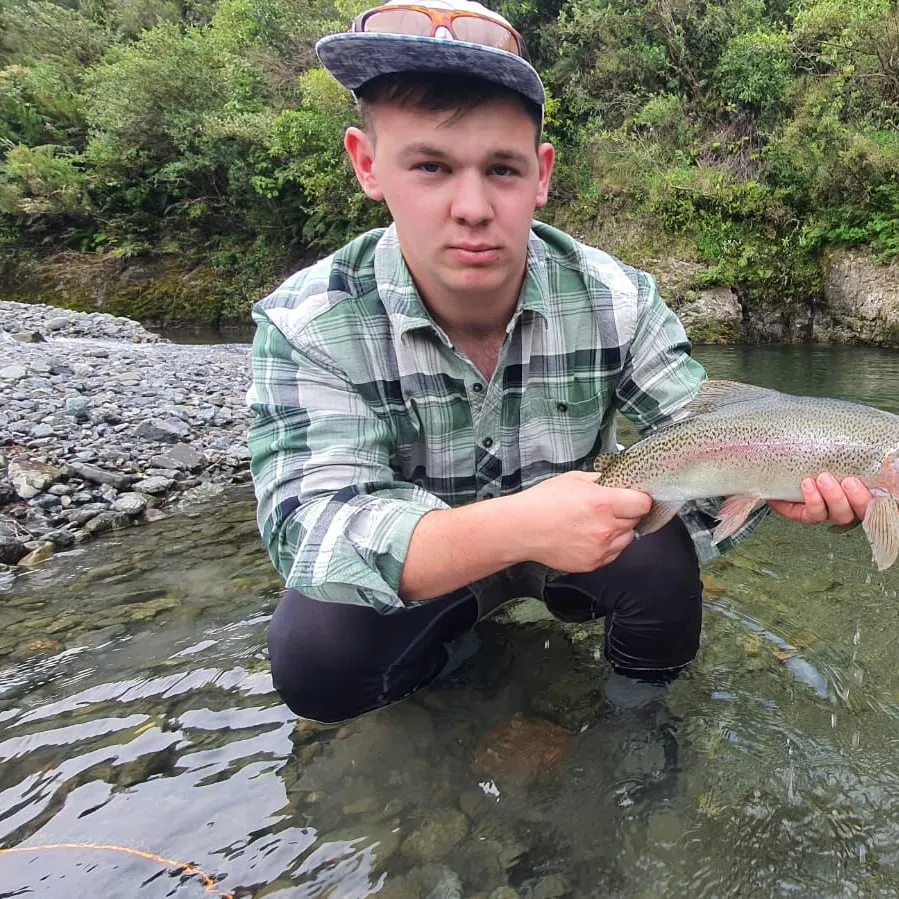 Rainbow trout caught on Fishbrain