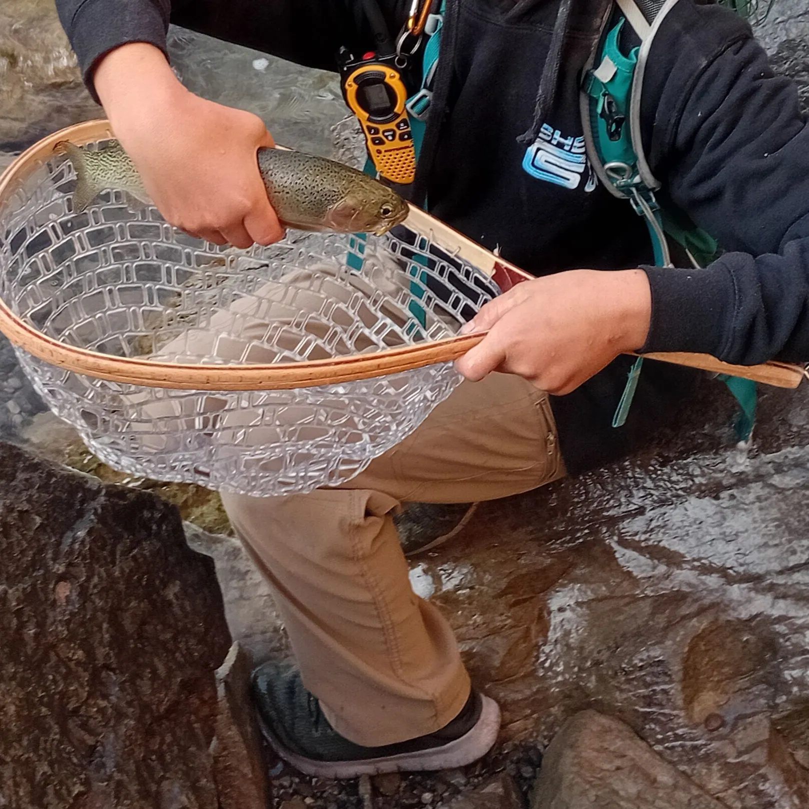 The most recent Westlope cutthroat trout catches on Fishbrain