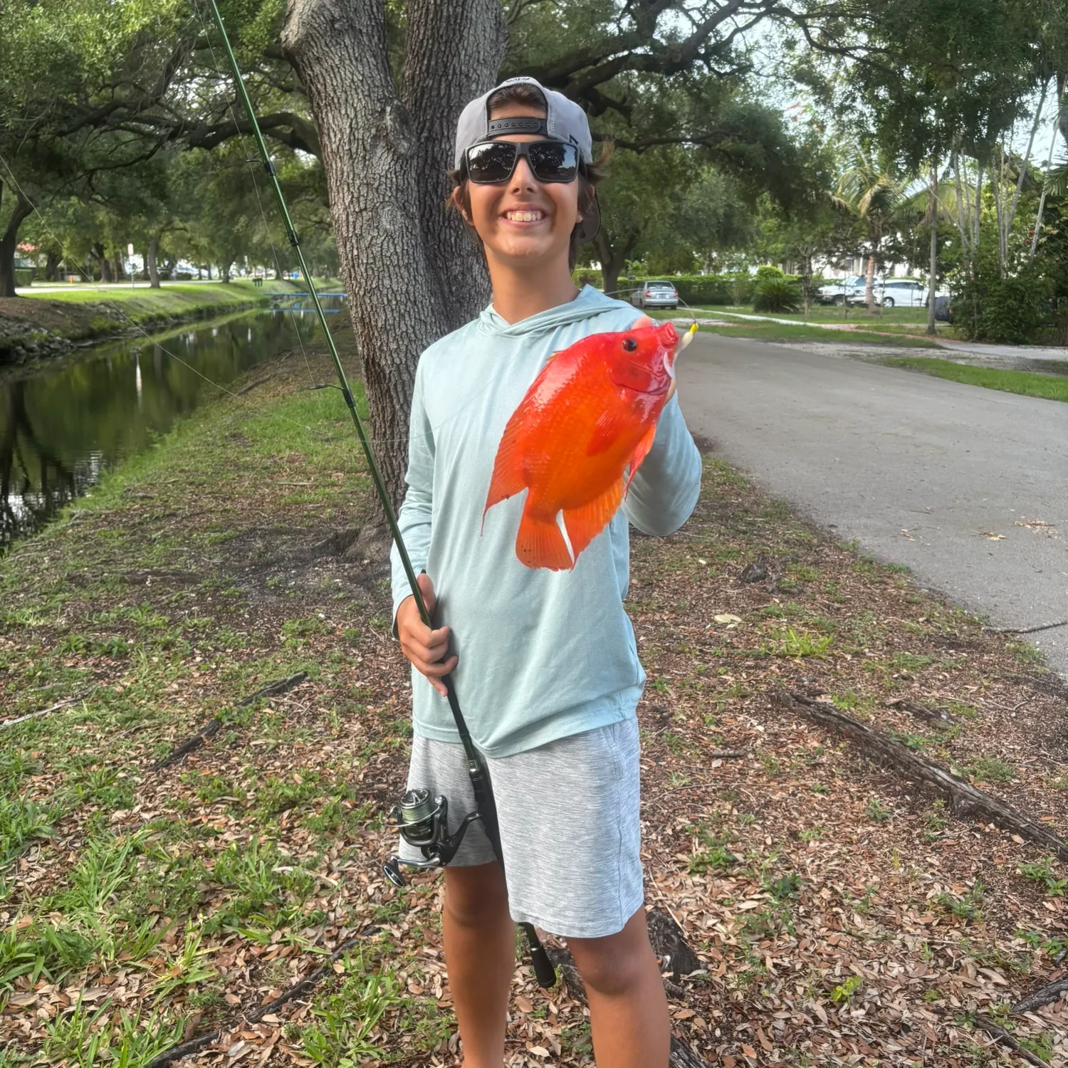 most liked catch image