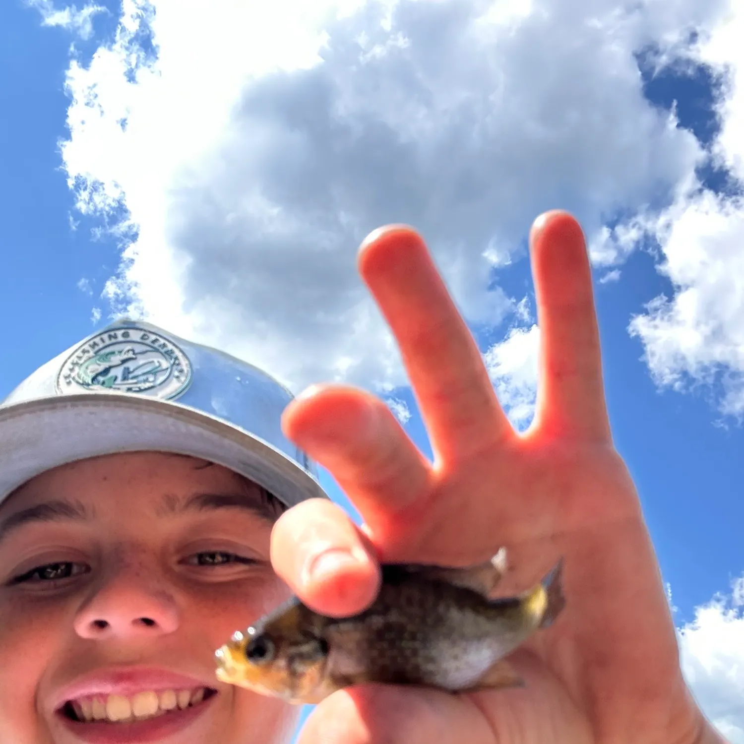 Bluegill caught on Fishbrain