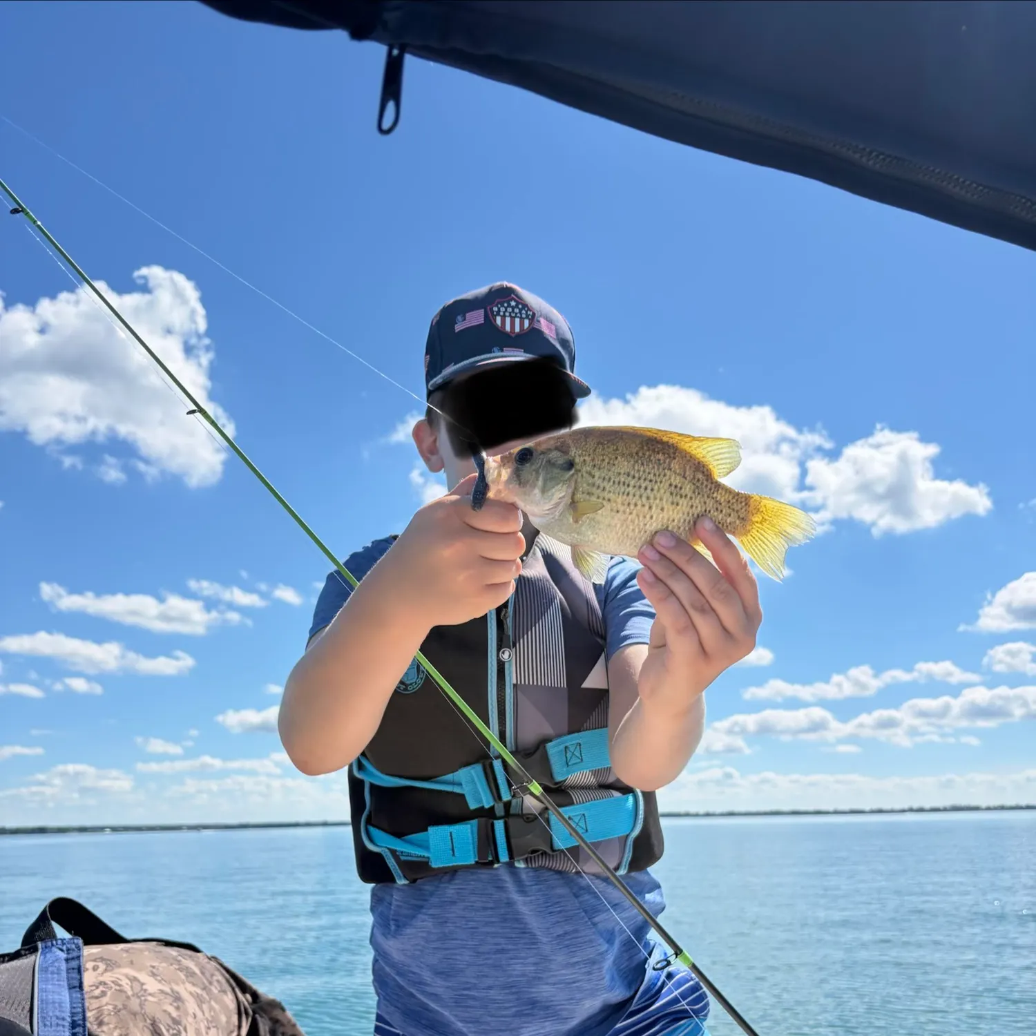 Rock bass caught on Fishbrain