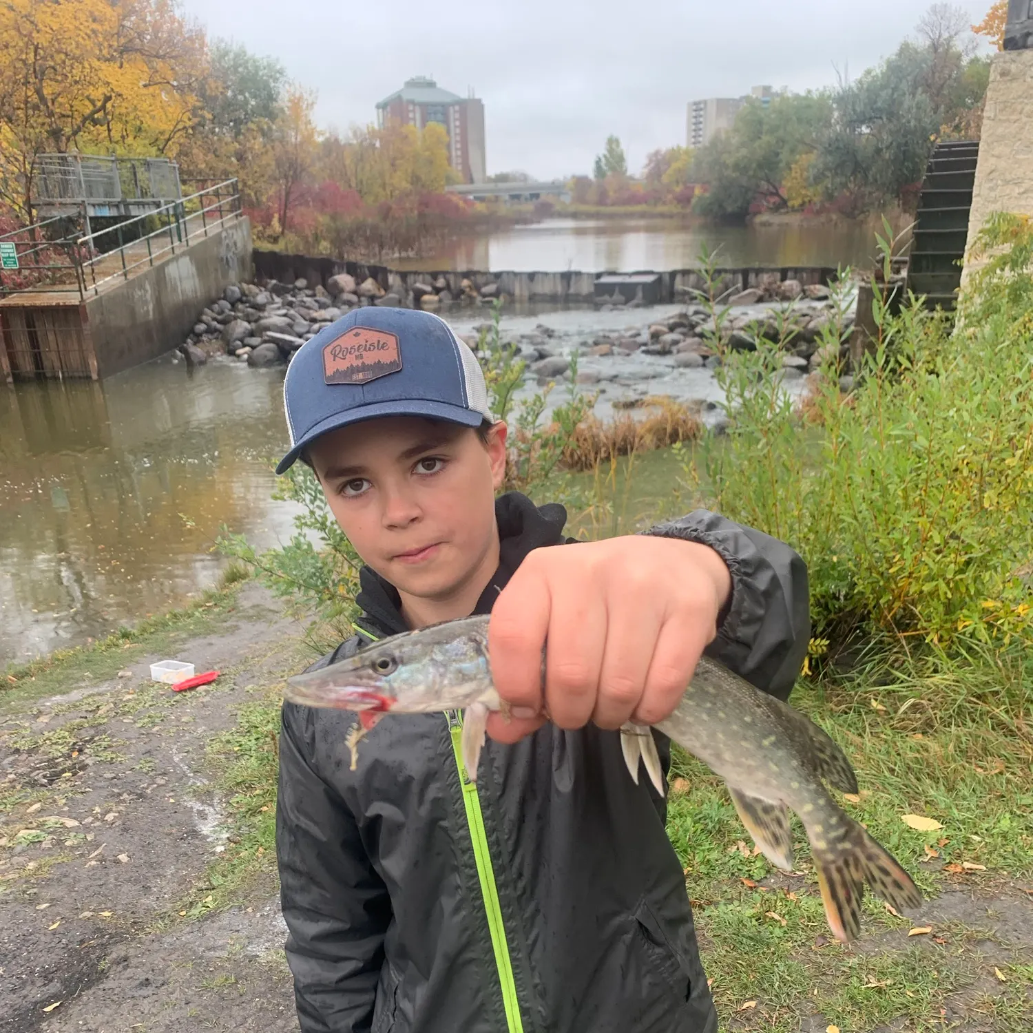 Northern pike caught on Fishbrain