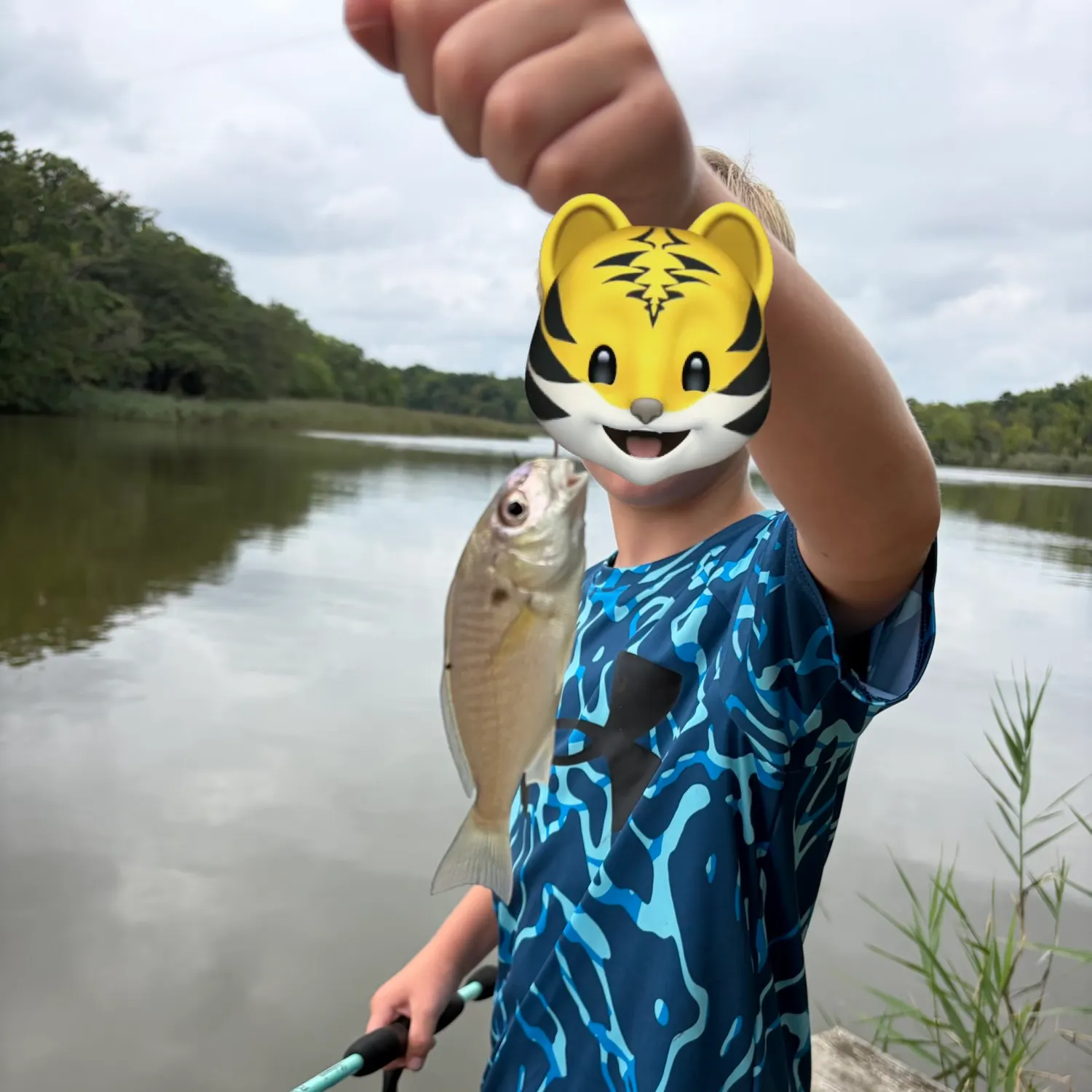 Spot croaker caught on Fishbrain