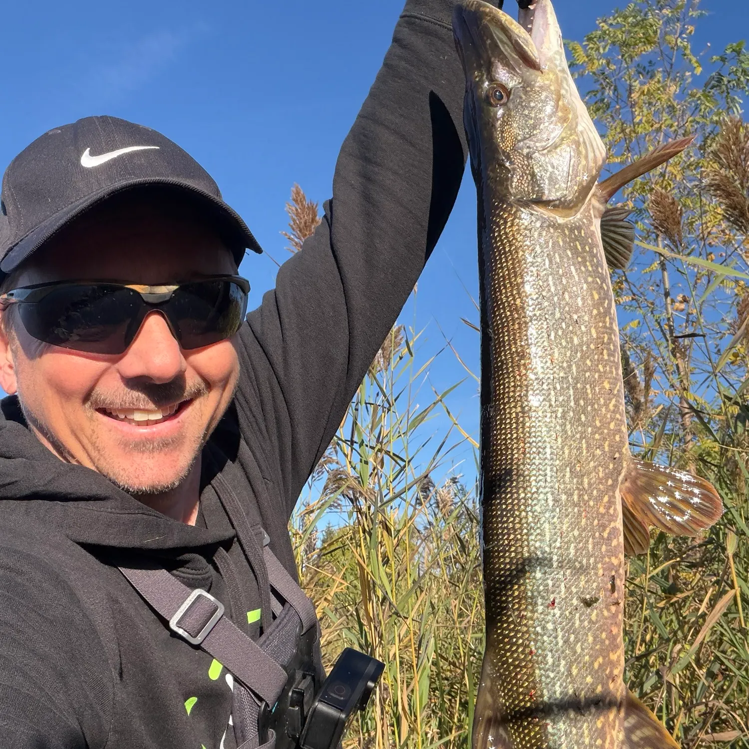 Northern pike caught on Fishbrain