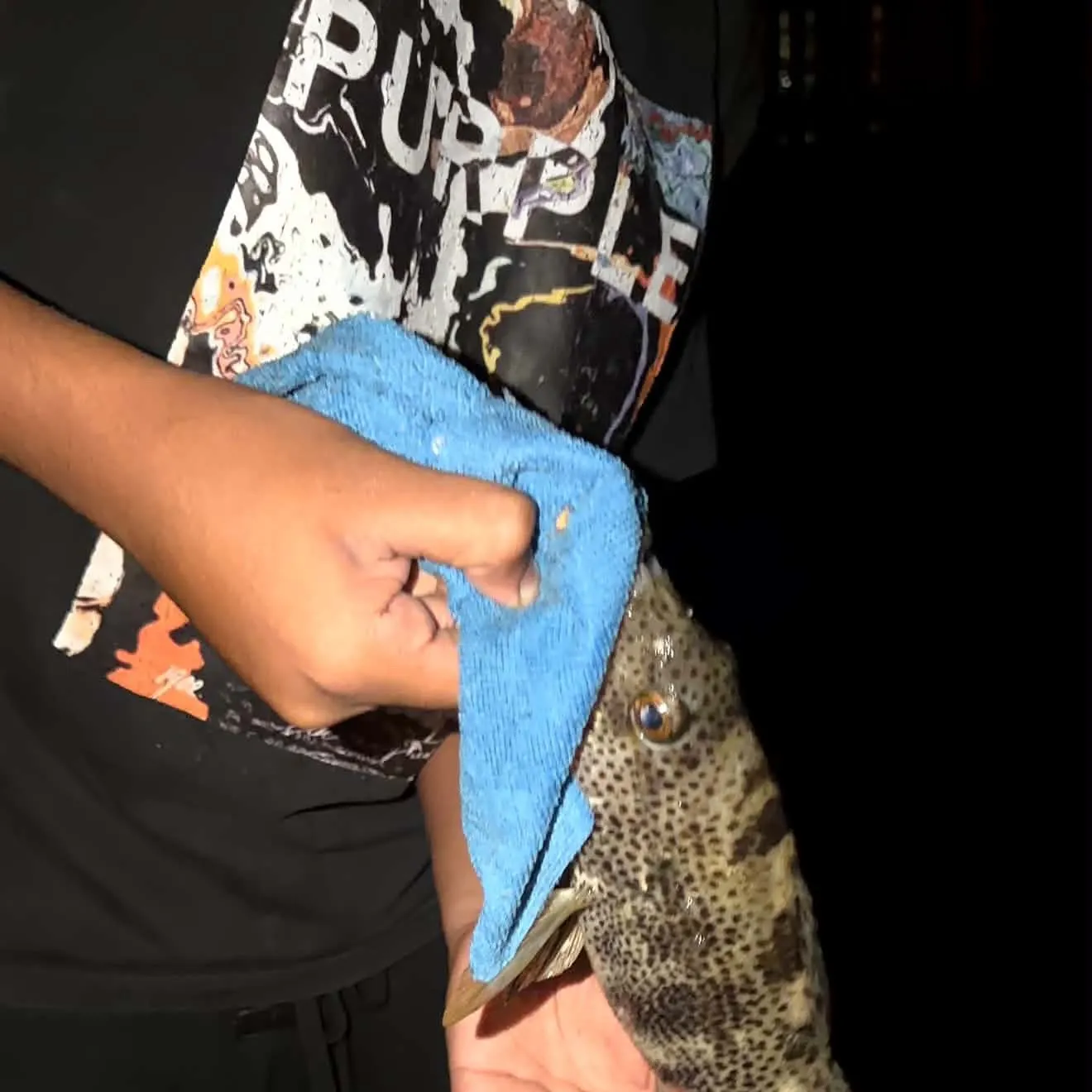Spotted sand bass caught on Fishbrain