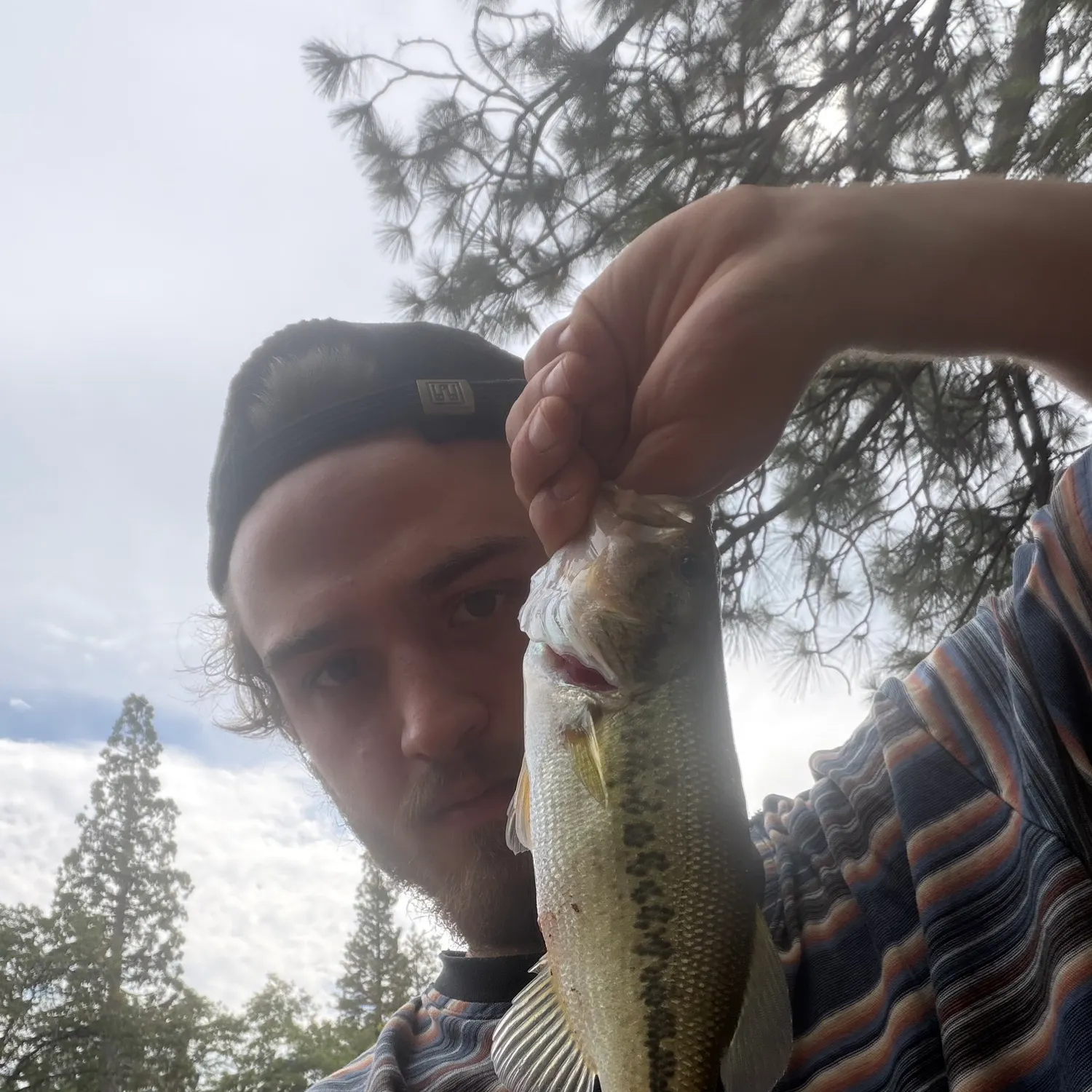 Fish caught on Fishbrain