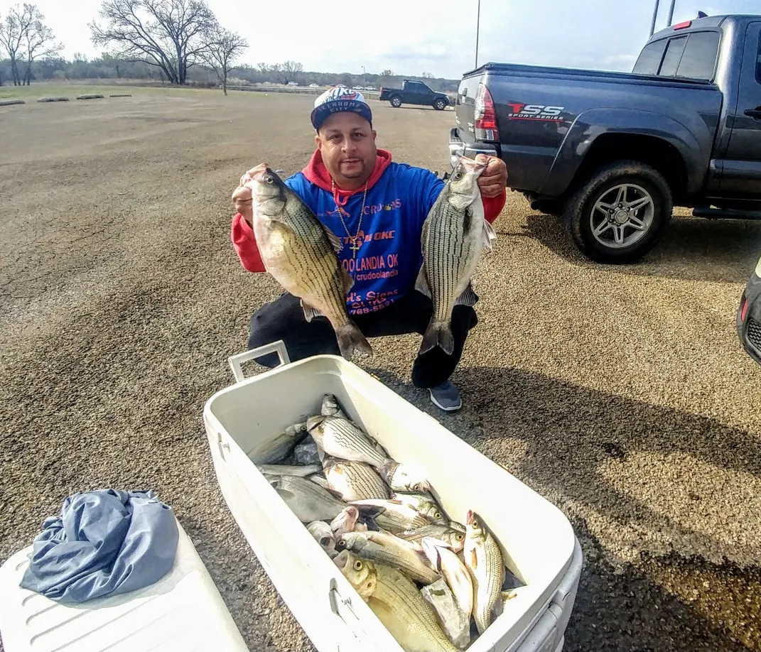 Post image from stealthassassin