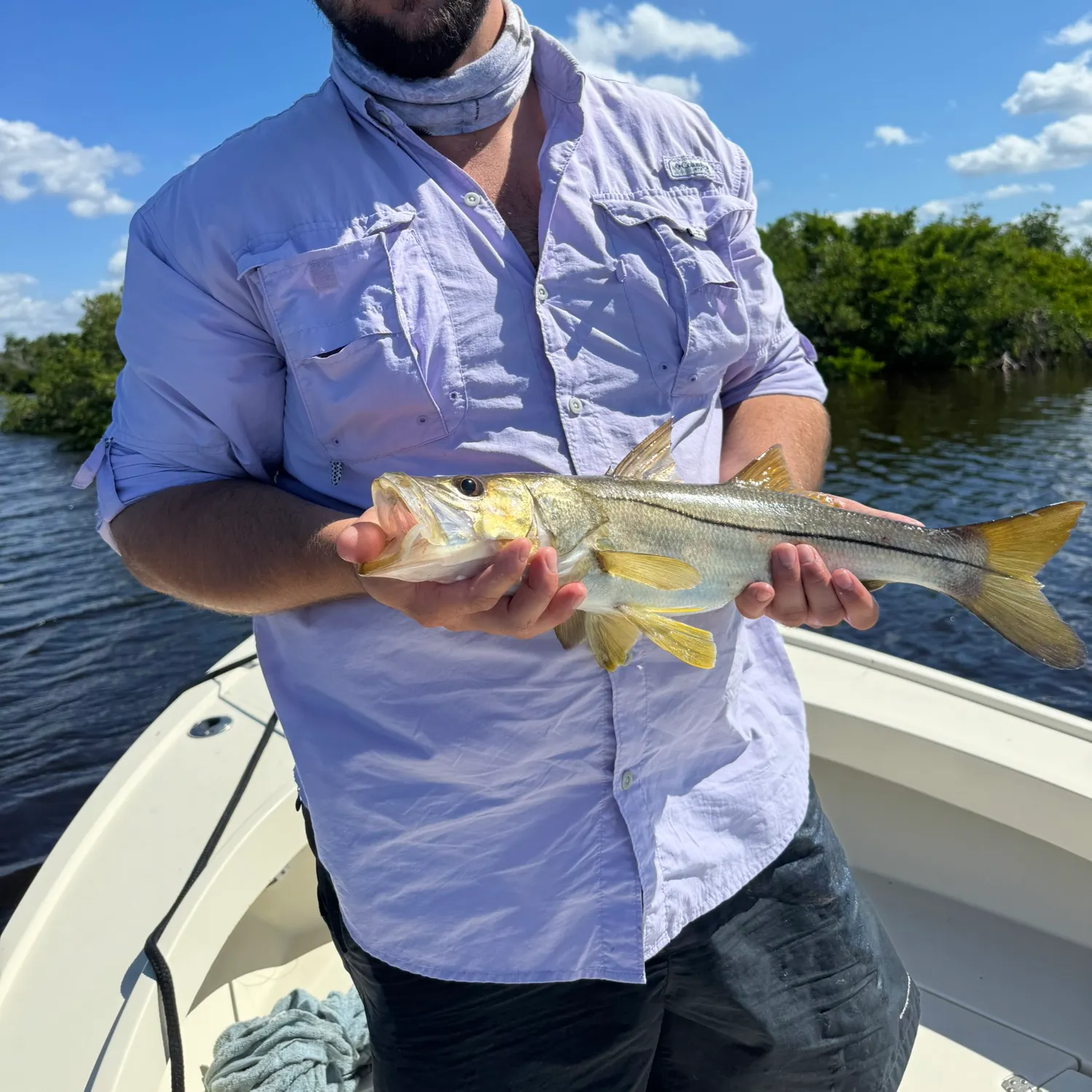 The most recent Common snook catches on Fishbrain