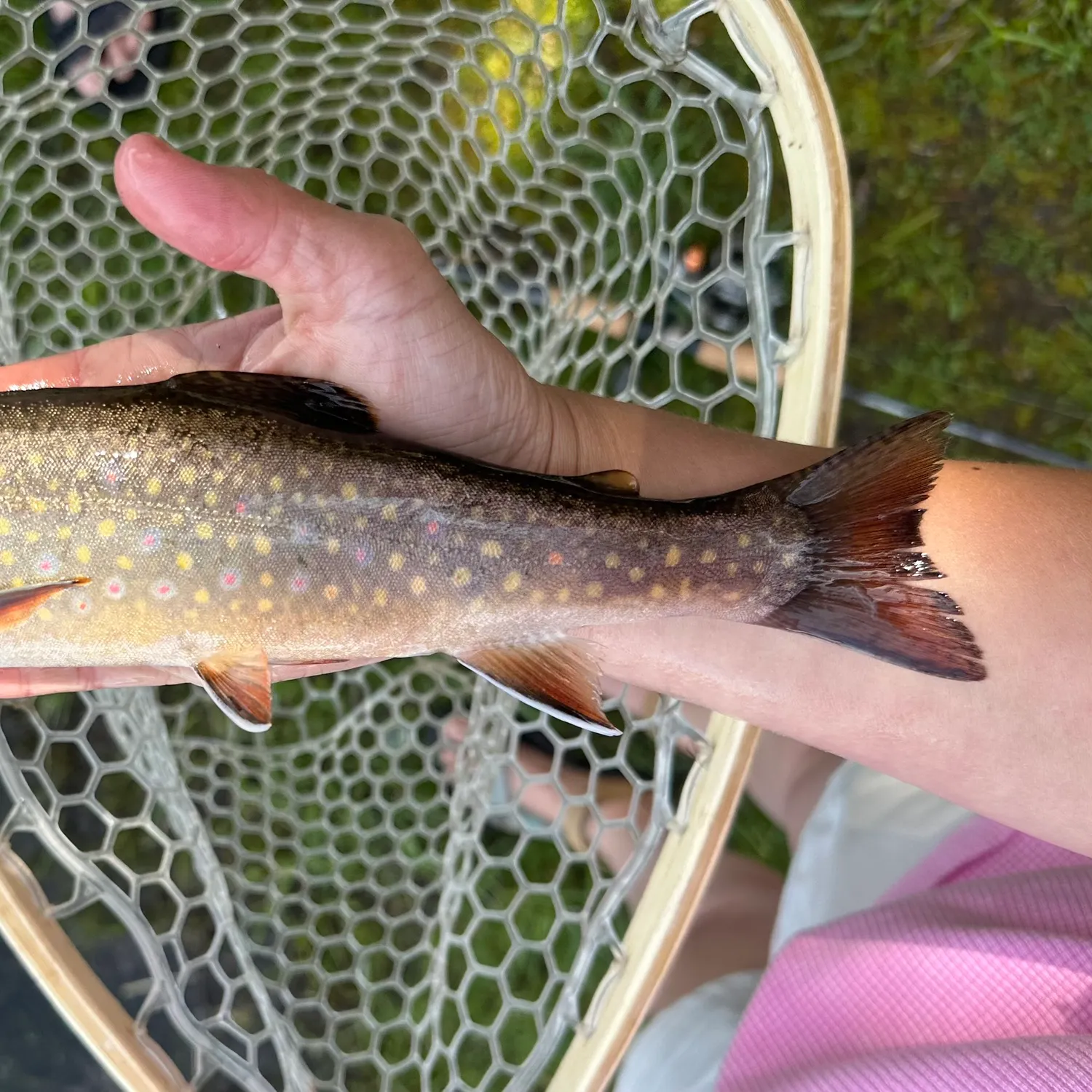angler catch