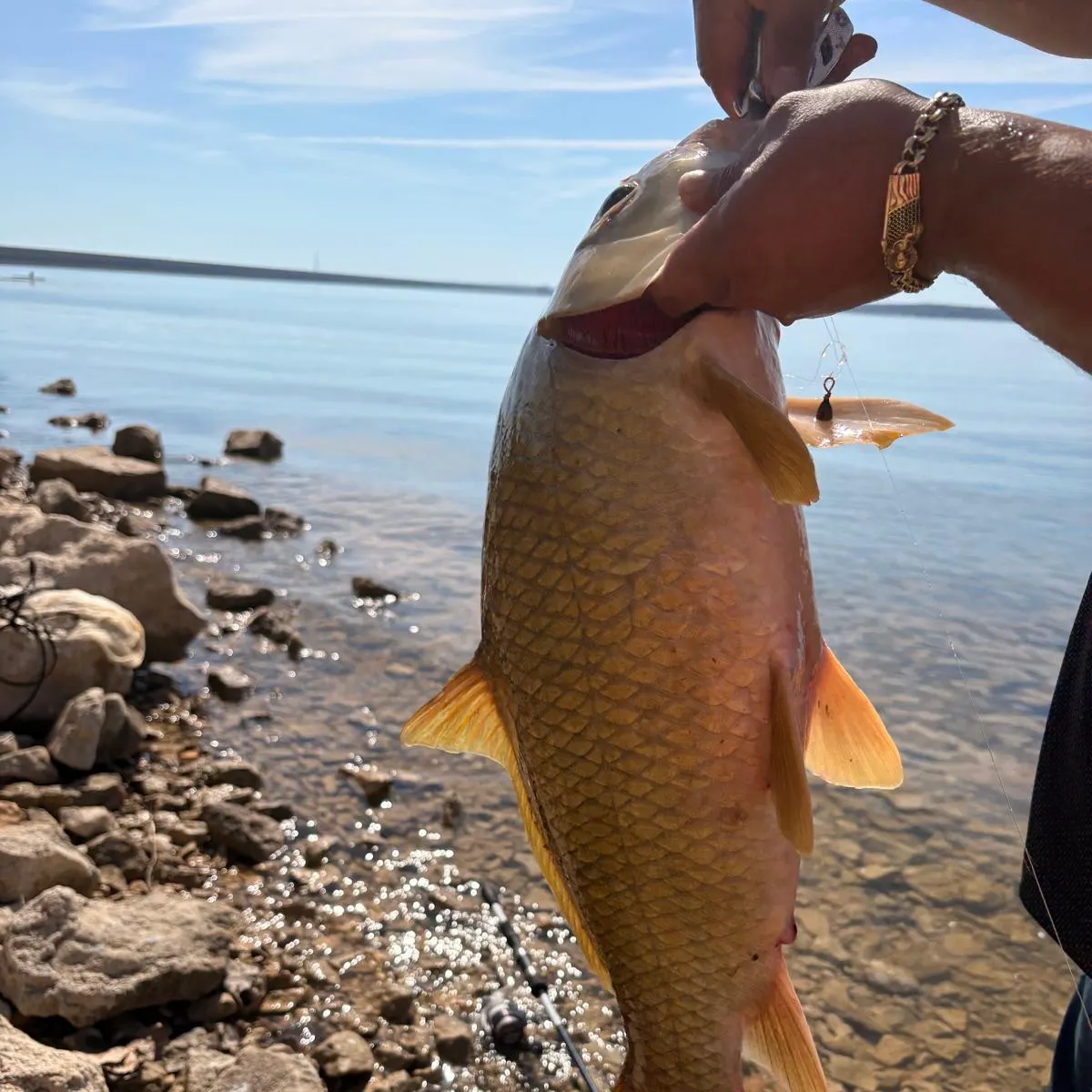Fish caught on Fishbrain