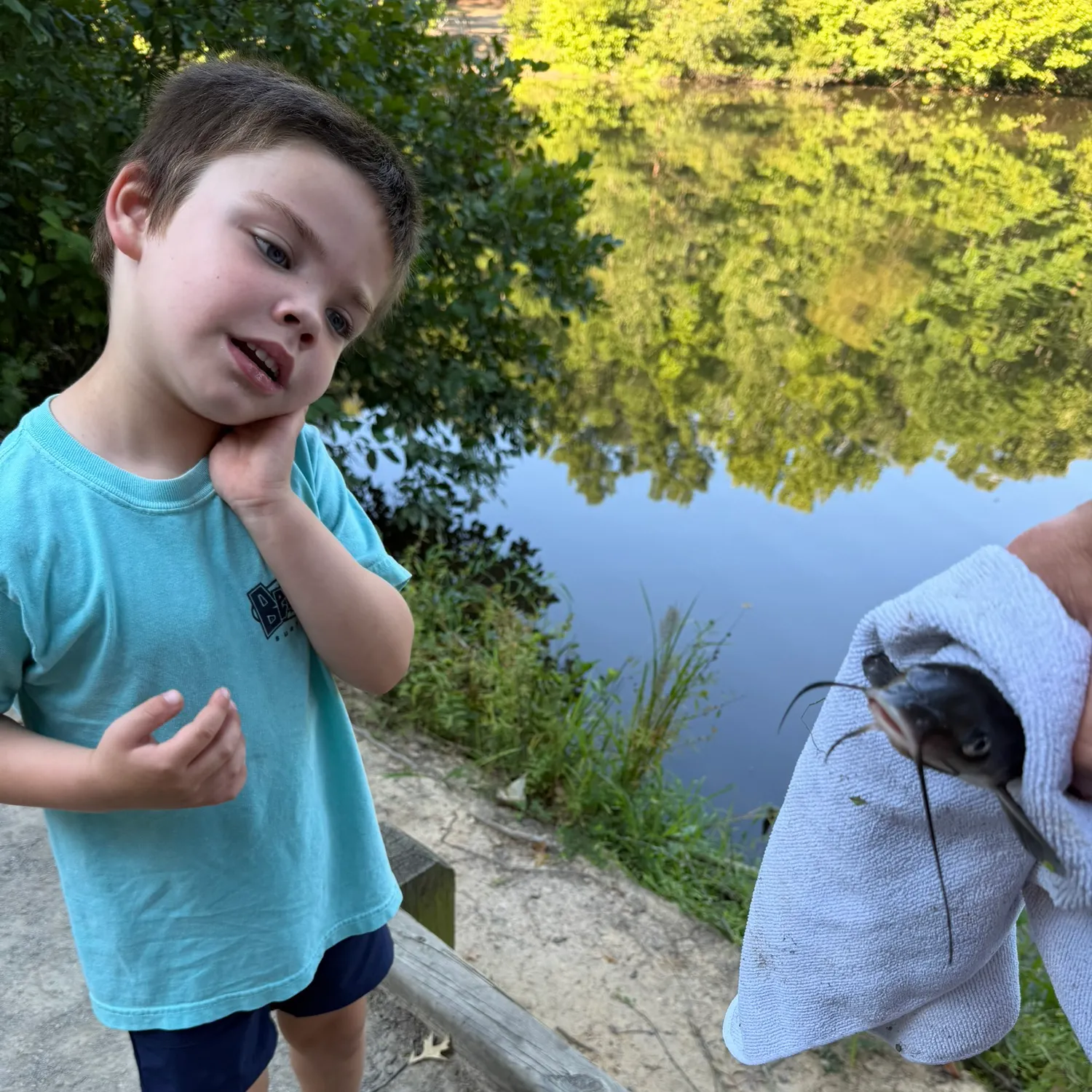 Channel catfish caught on Fishbrain